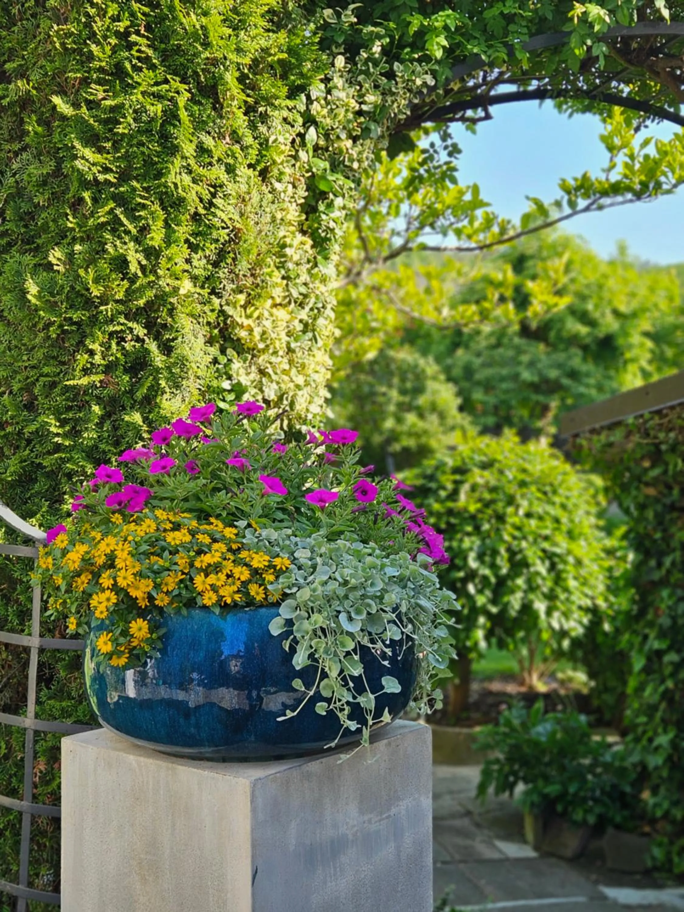 Garden in Hotel Marmułowski