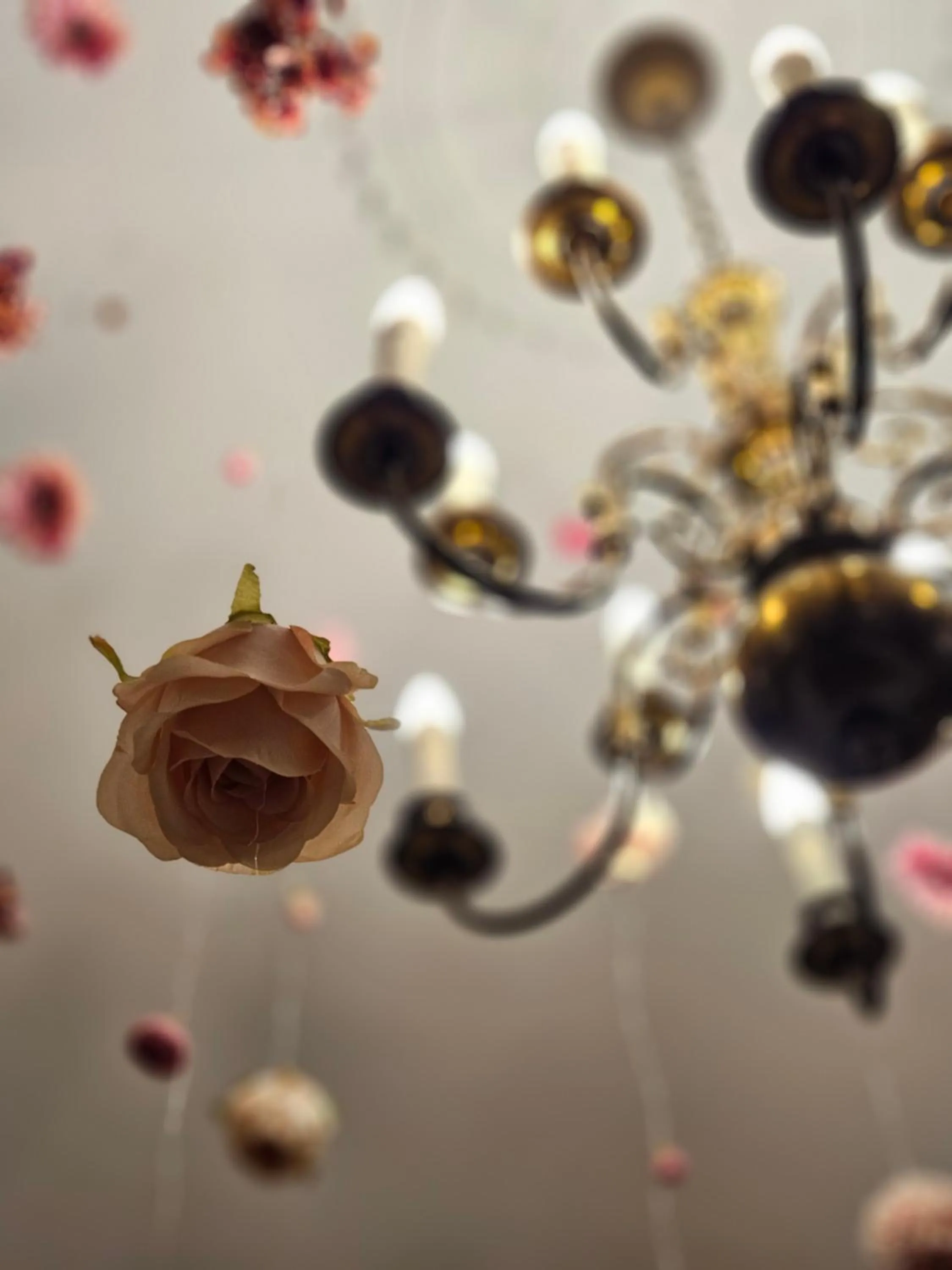 Restaurant/places to eat in Hotel Marmułowski