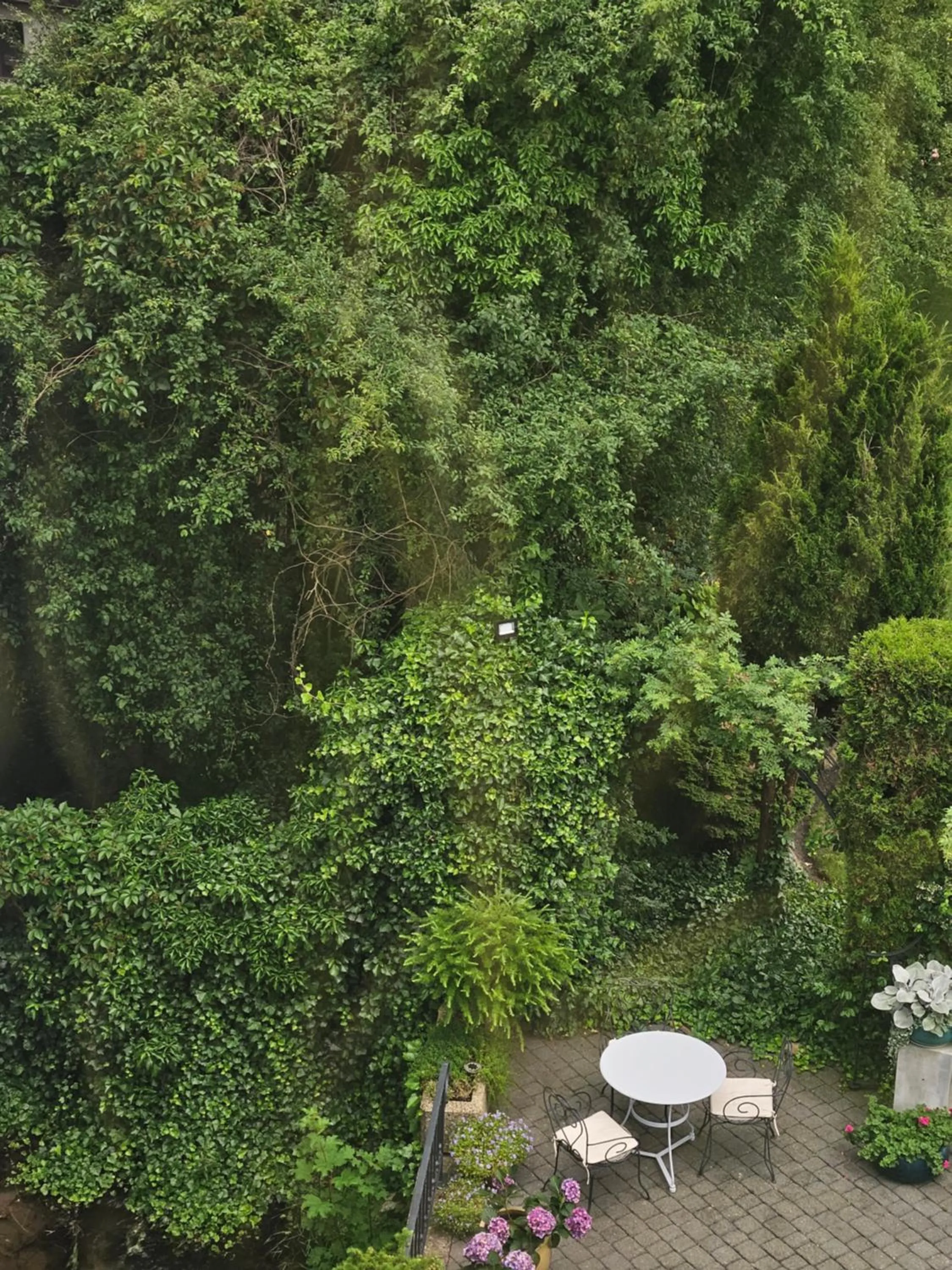 Garden in Hotel Marmułowski