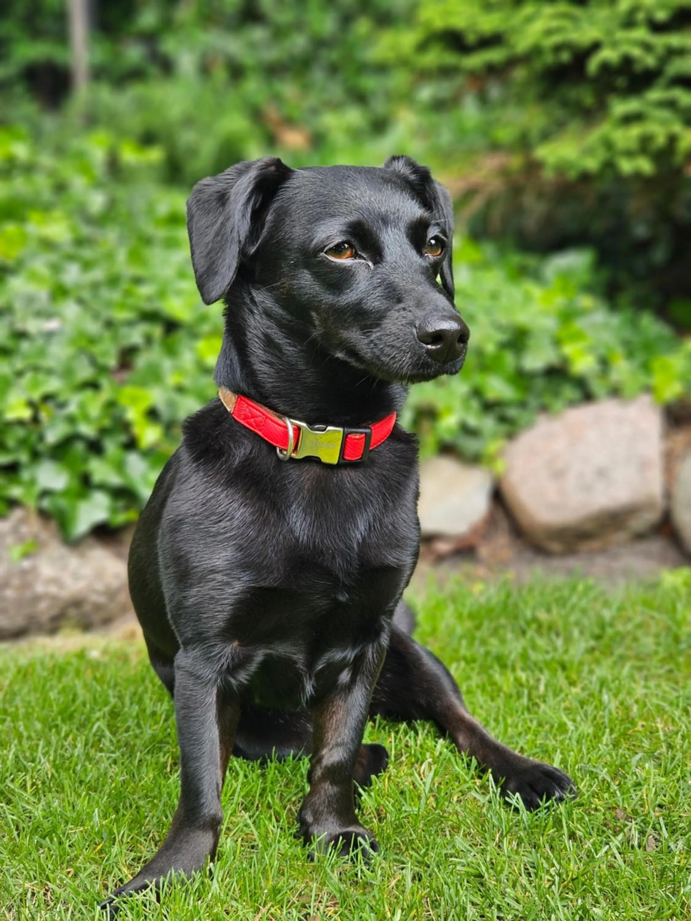 Garden in Hotel Marmułowski
