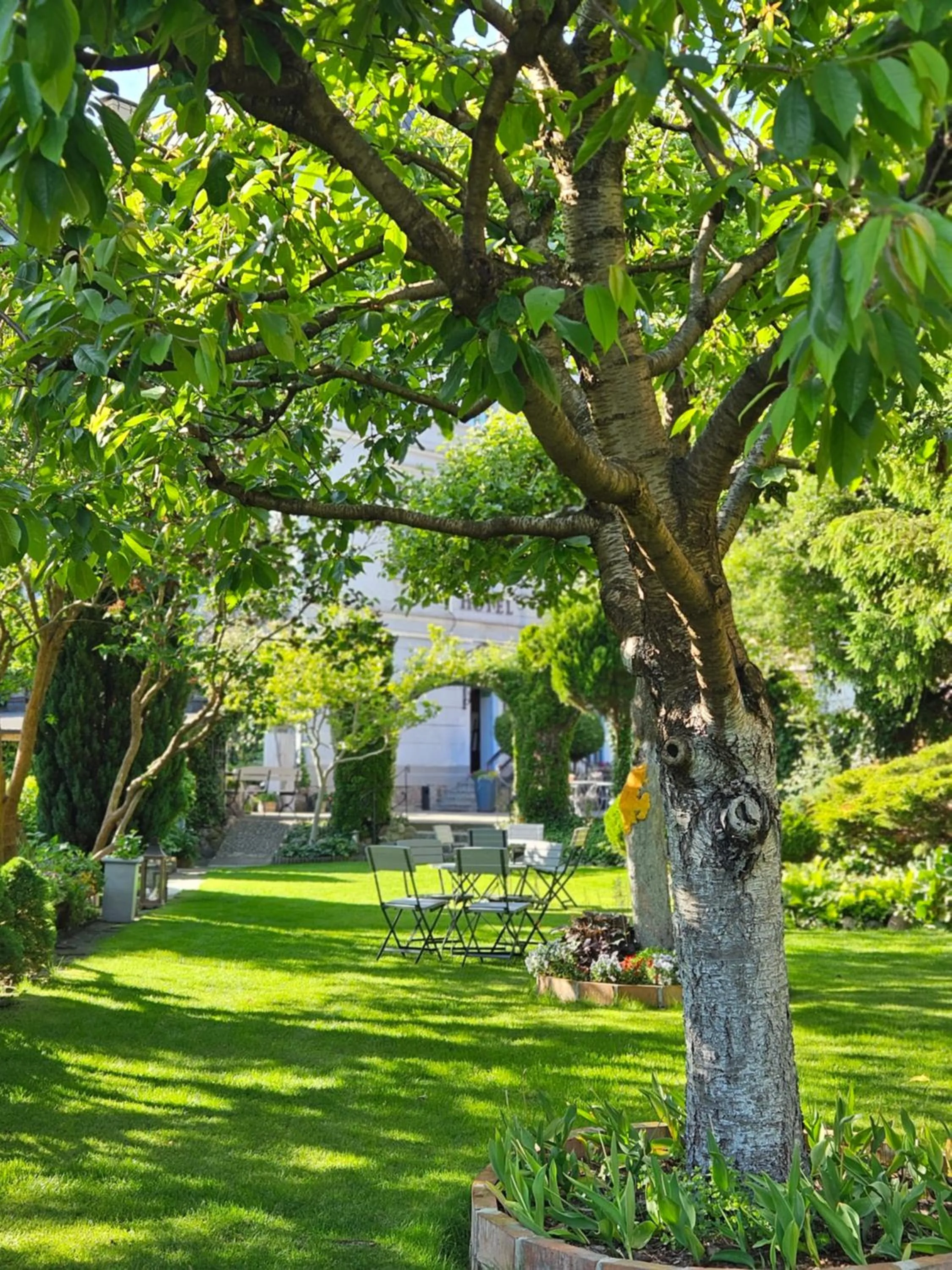 Garden in Hotel Marmułowski