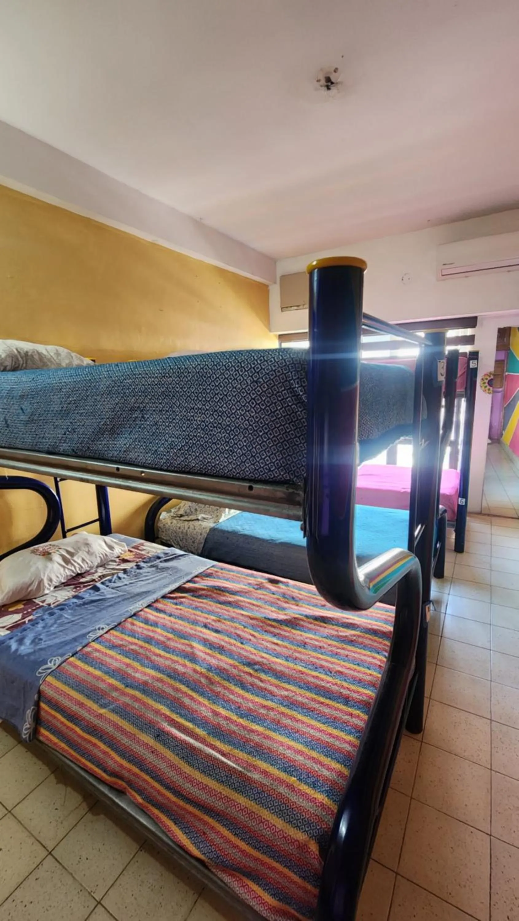 Bed in Hostel Vallarta