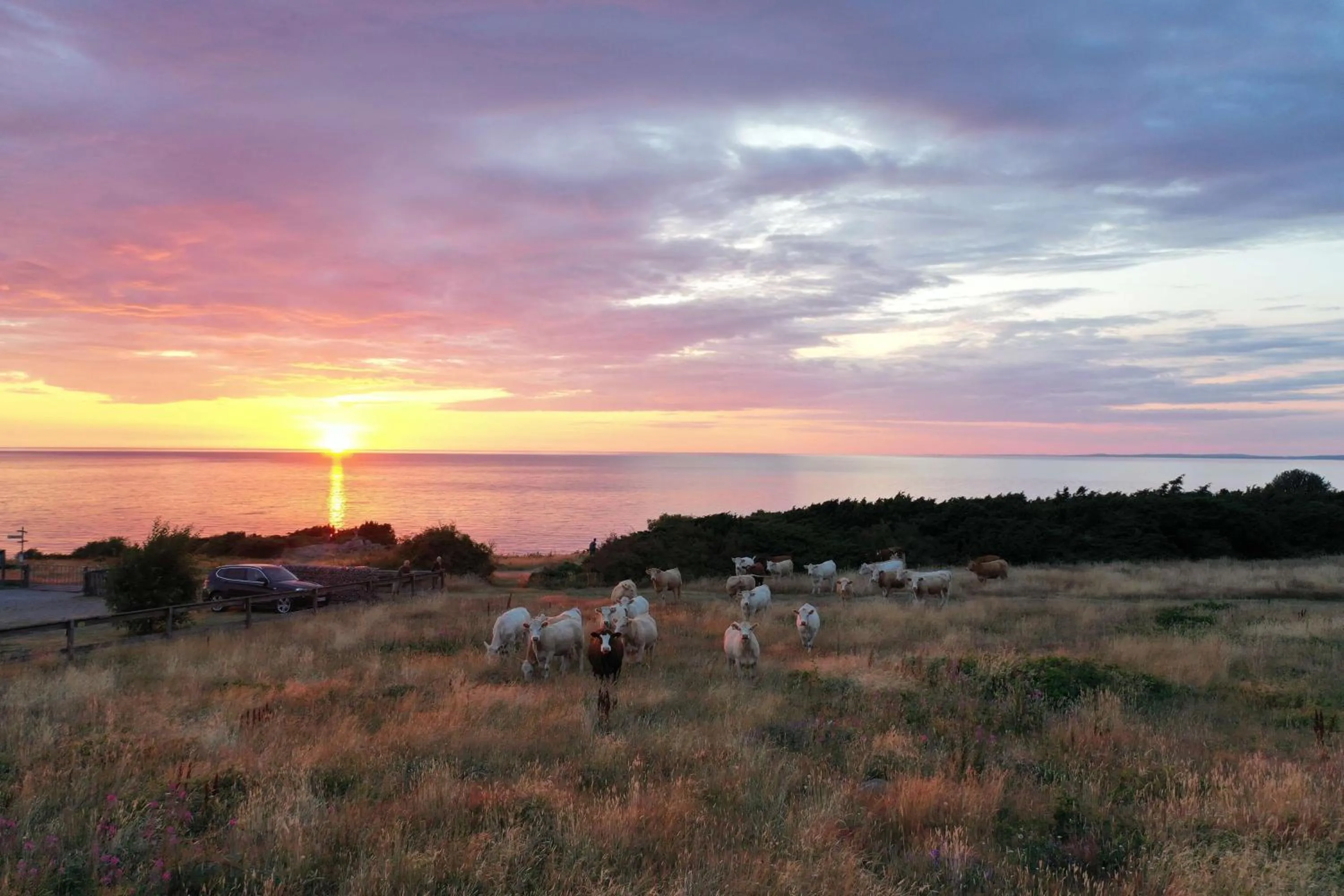Property building in Hotell och Restaurang Hovs Hallar