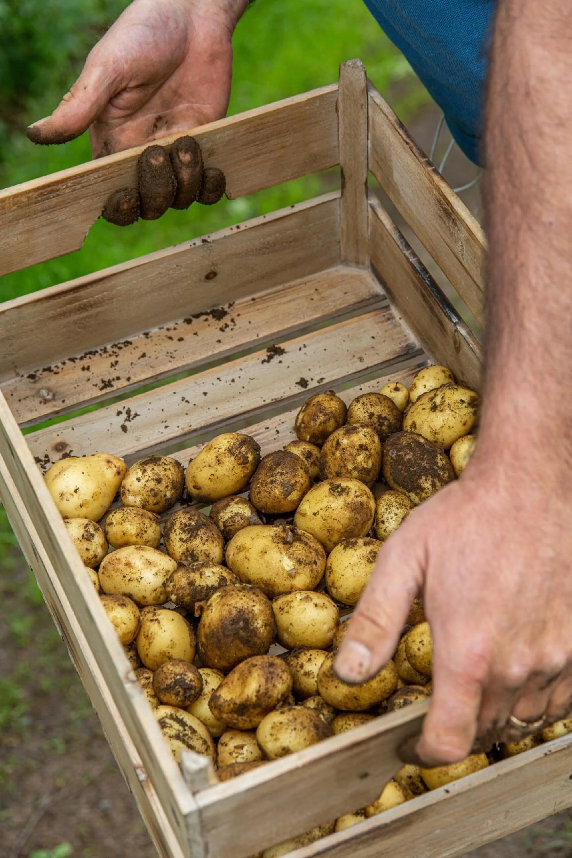 Restaurant/places to eat in Hotell och Restaurang Hovs Hallar