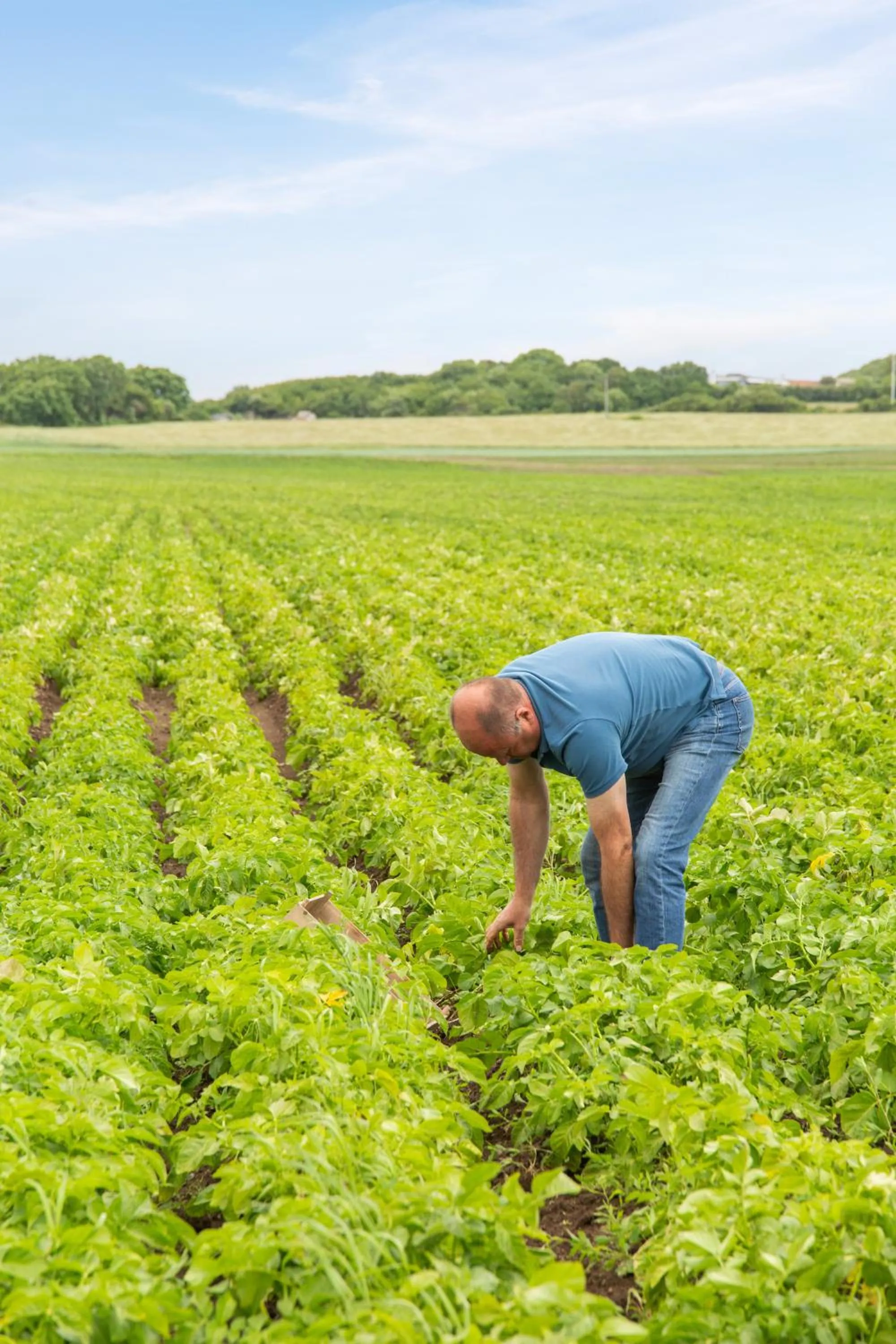 Food in Hotell och Restaurang Hovs Hallar