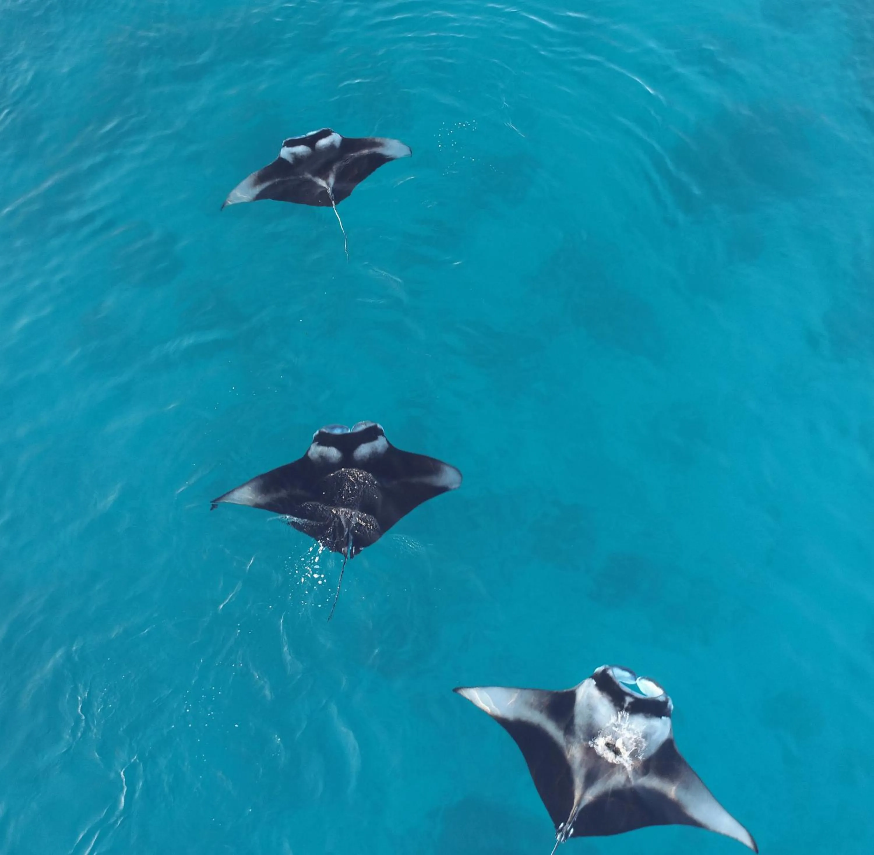 Activities in Madivaru Kro