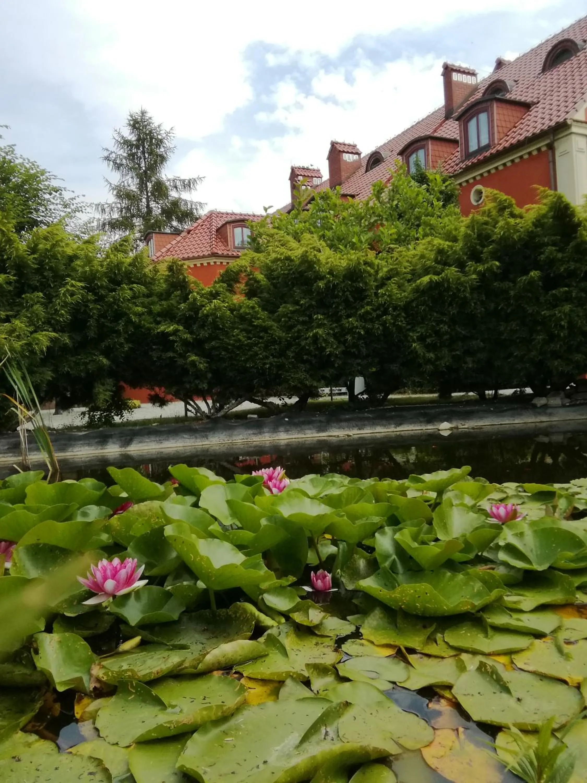 Garden in Dworek 1885