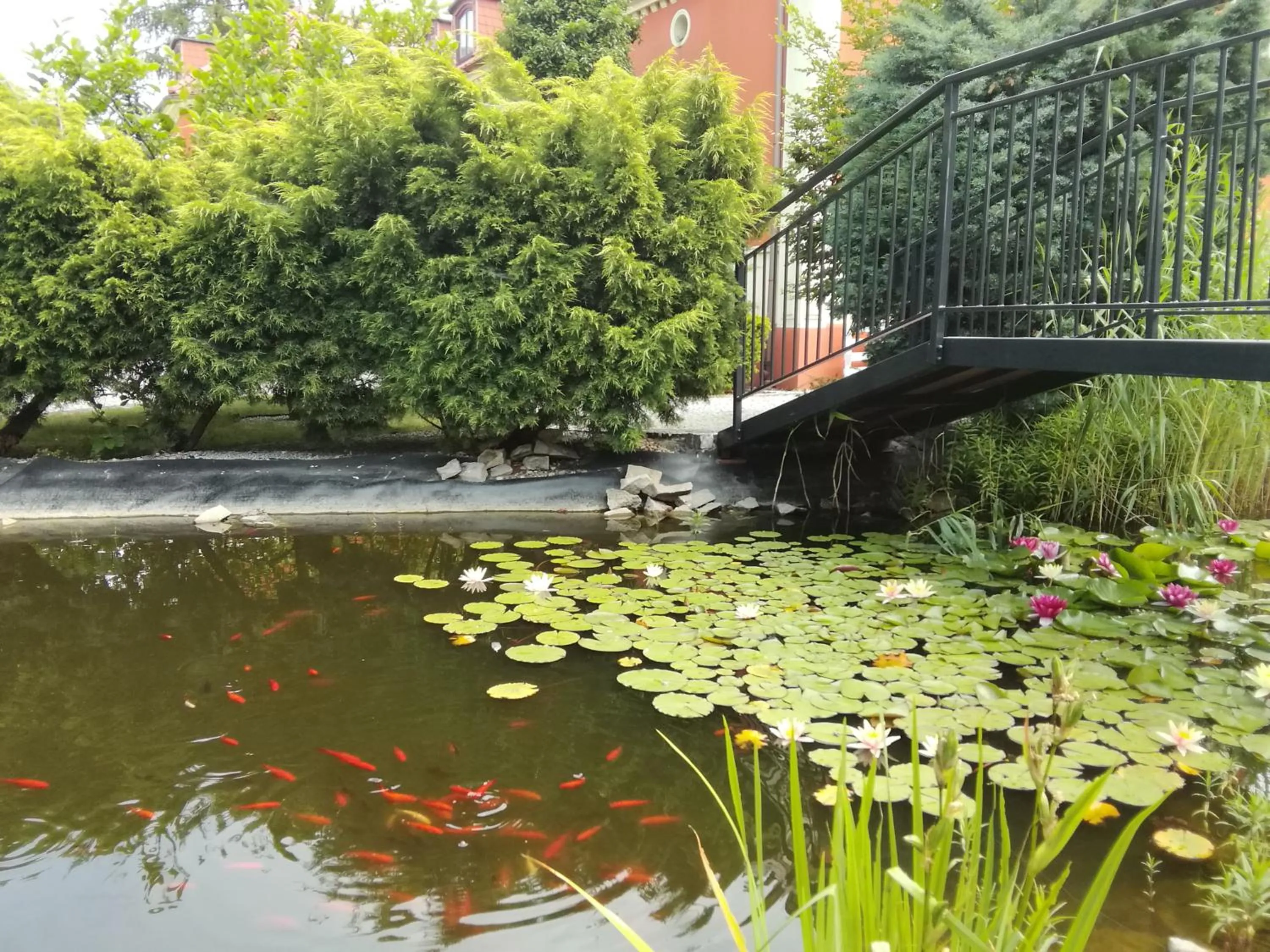 Natural landscape in Dworek 1885