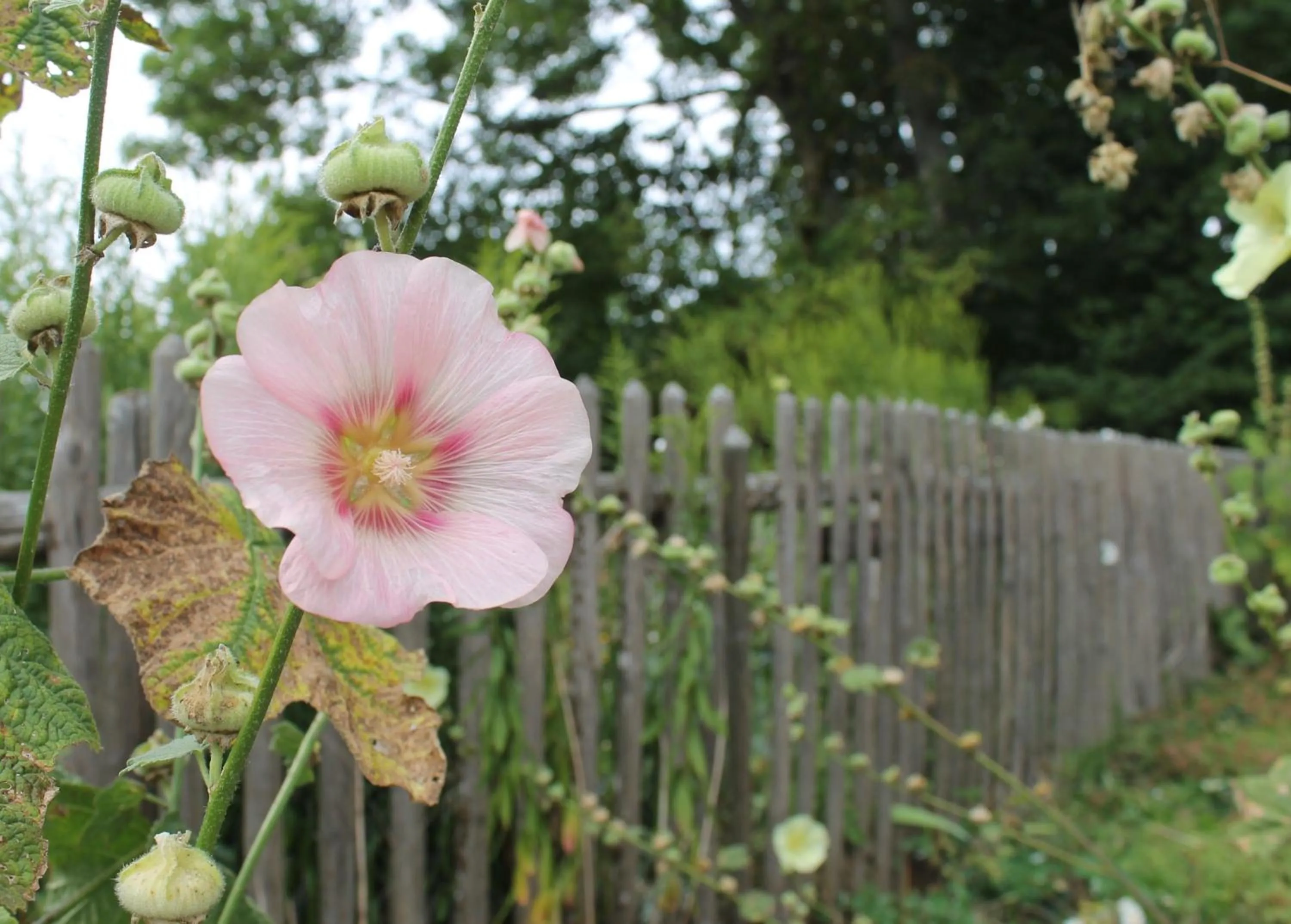 Natural landscape in Gästezimmer Gier