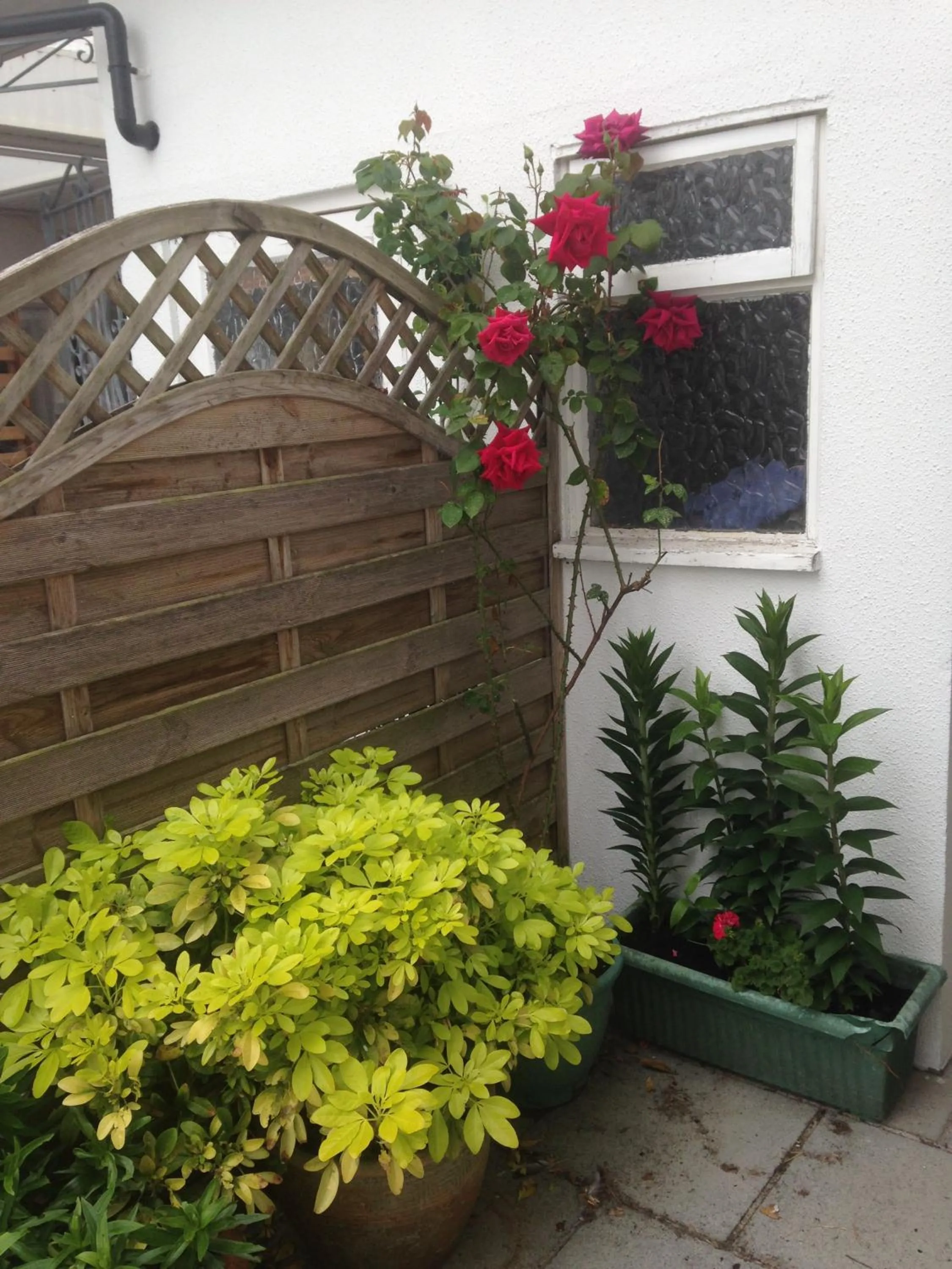 Spring in Merlewood Hotel