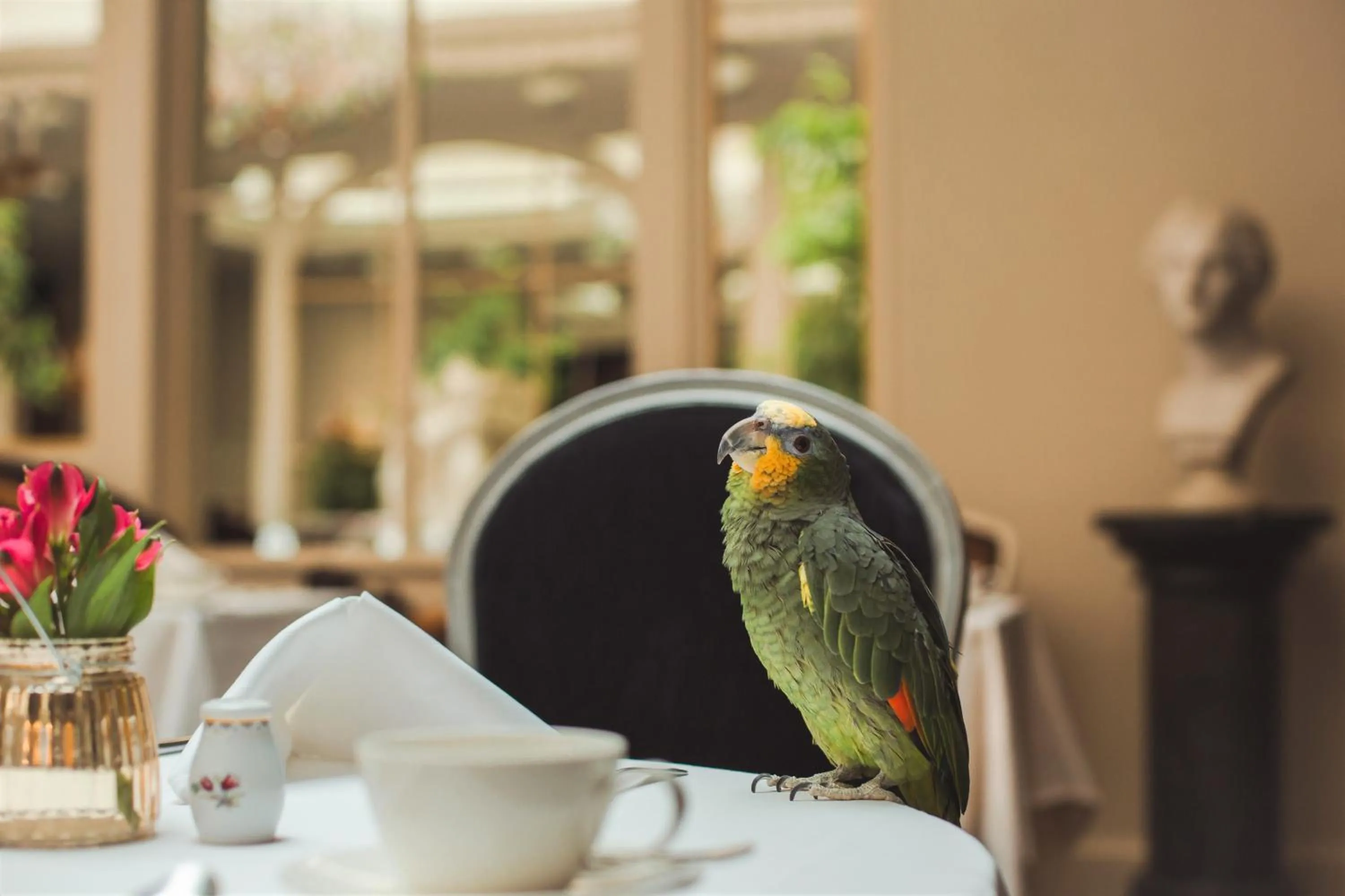 Animals in Grand Palace Hotel - Small Luxury Hotels of the World