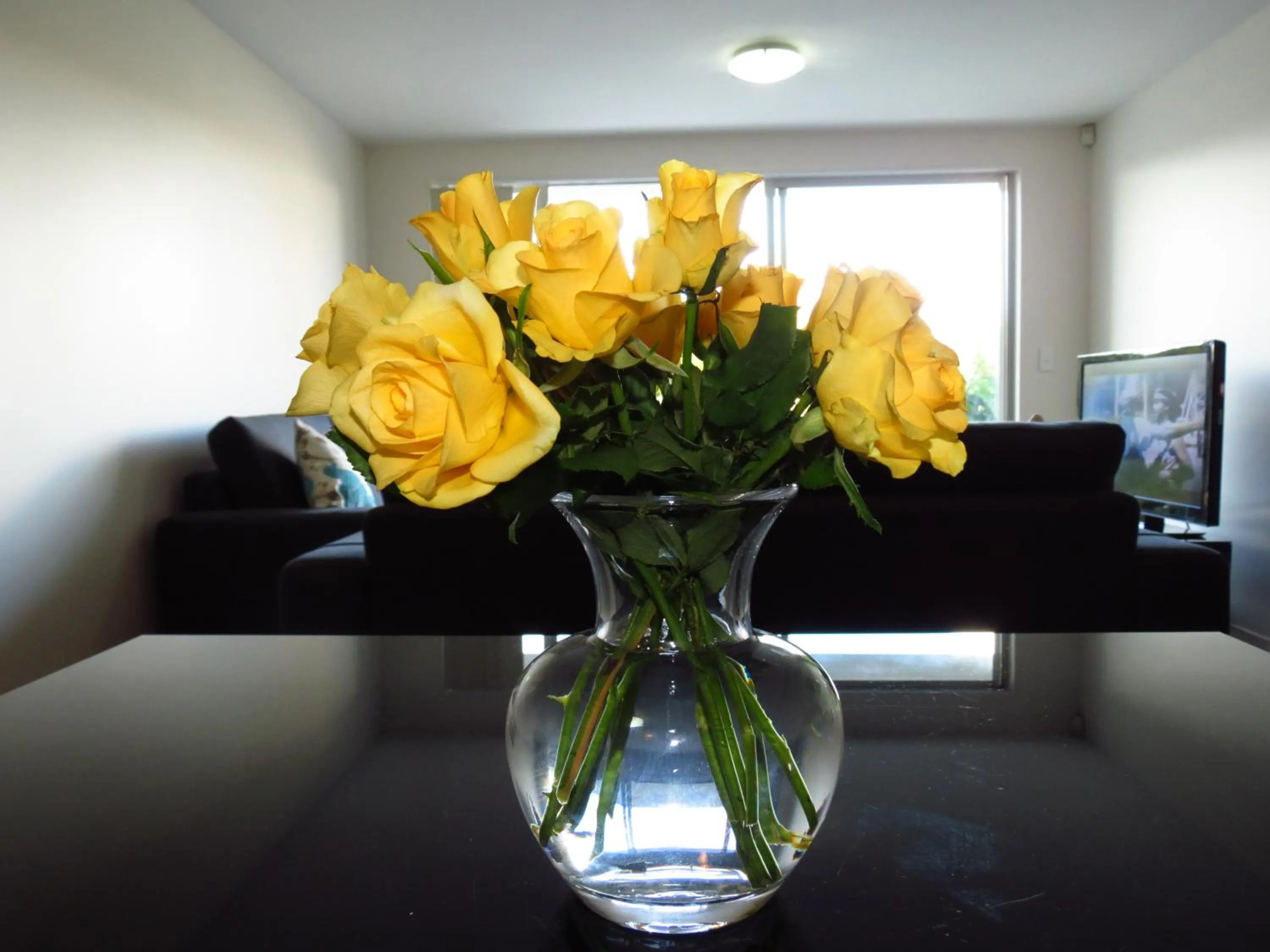 Day in Castle Newhaven