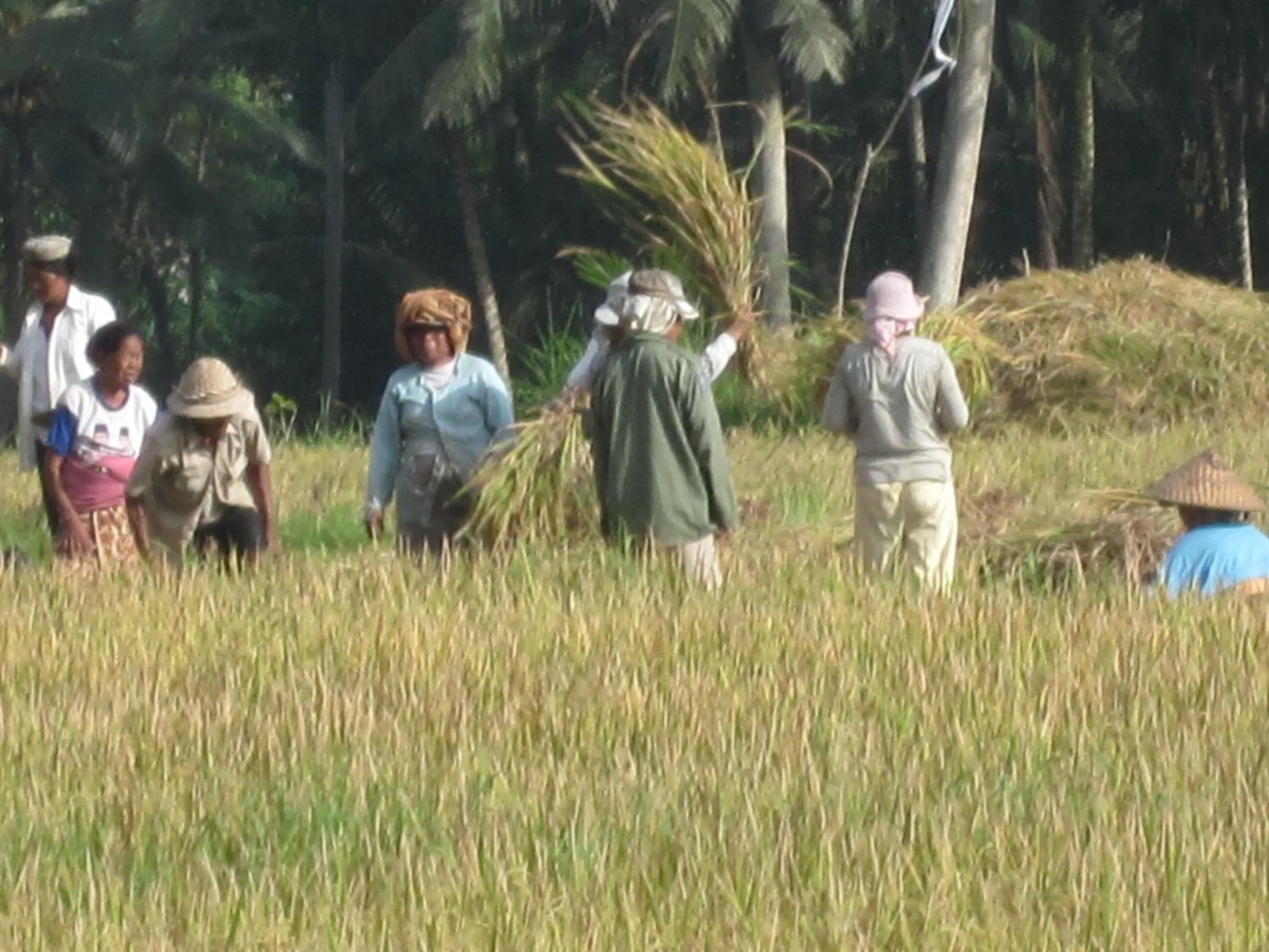 People in Arma Museum & Resort