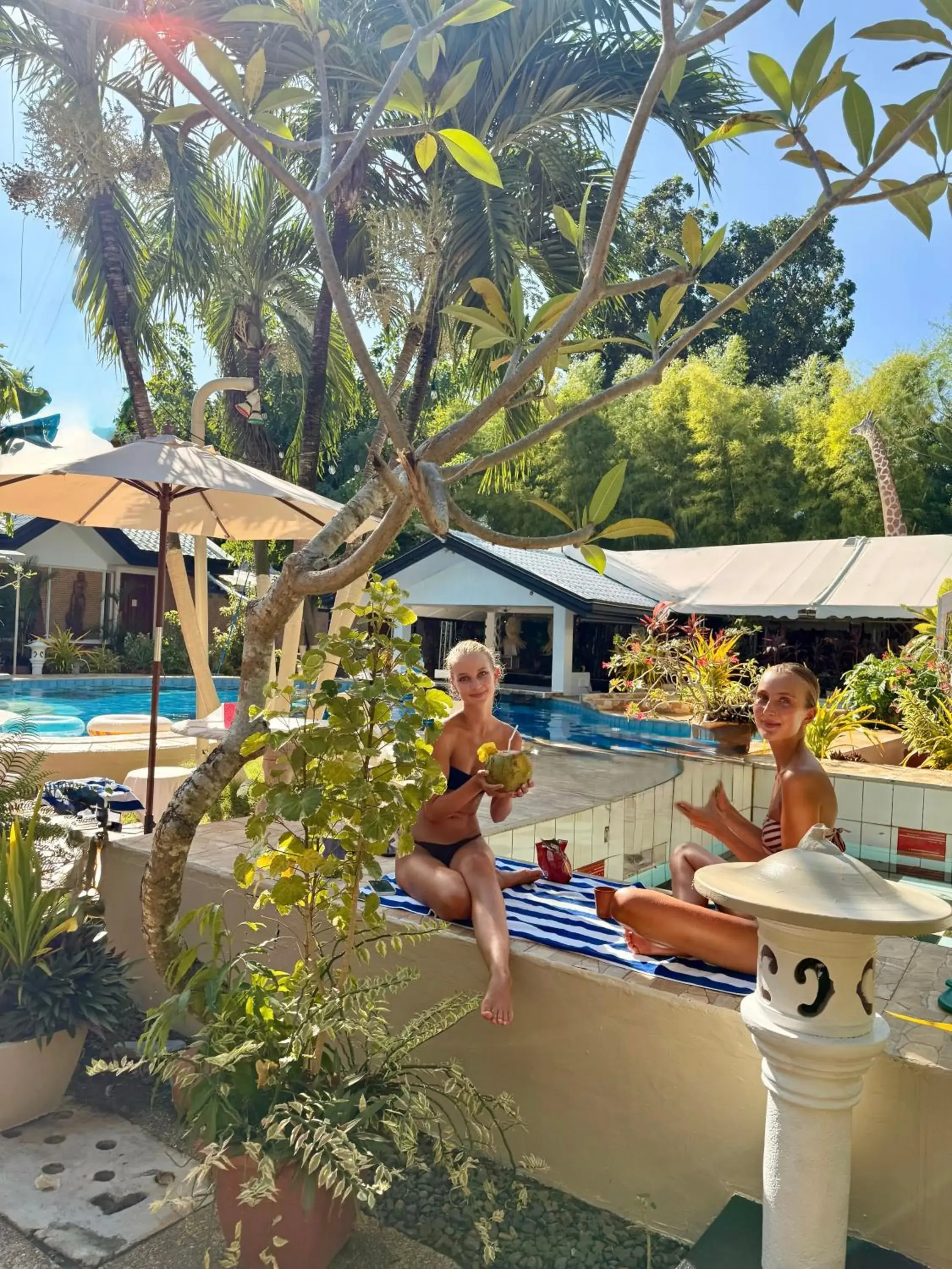 Deep Forest Garden Hotel Deep Forest Garden Hotel