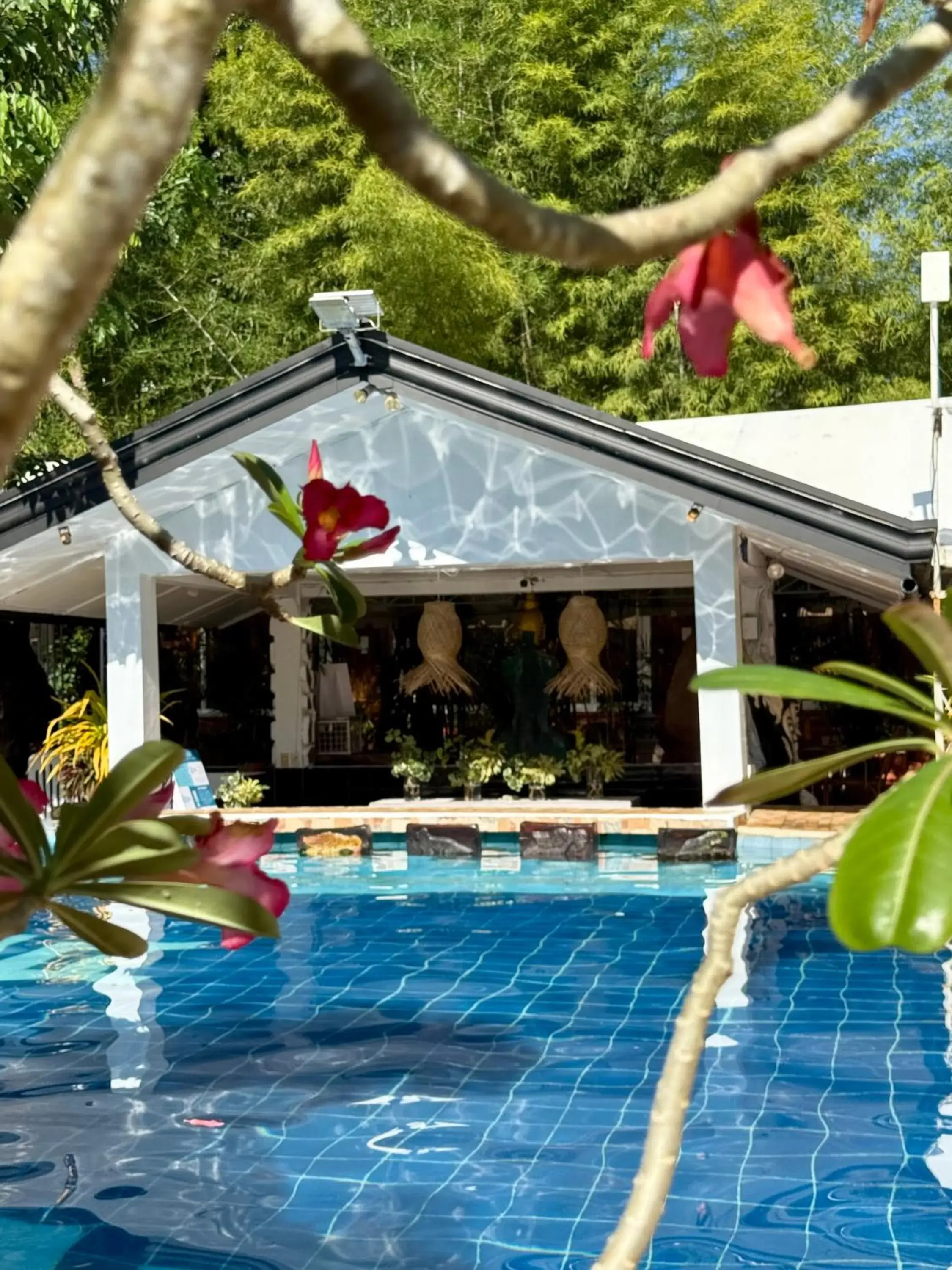 Deep Forest Garden Hotel Deep Forest Garden Hotel