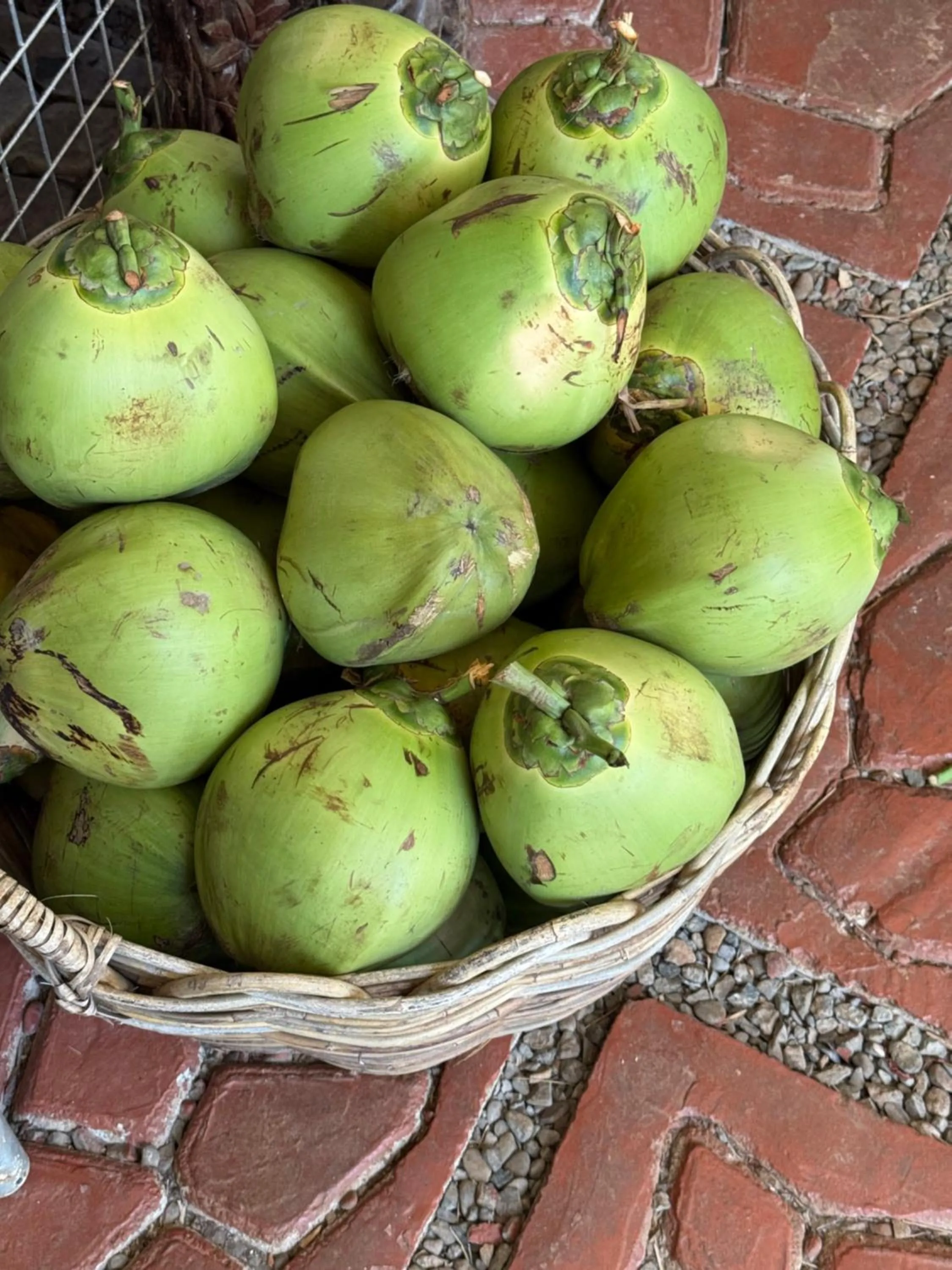 Deep Forest Garden Hotel