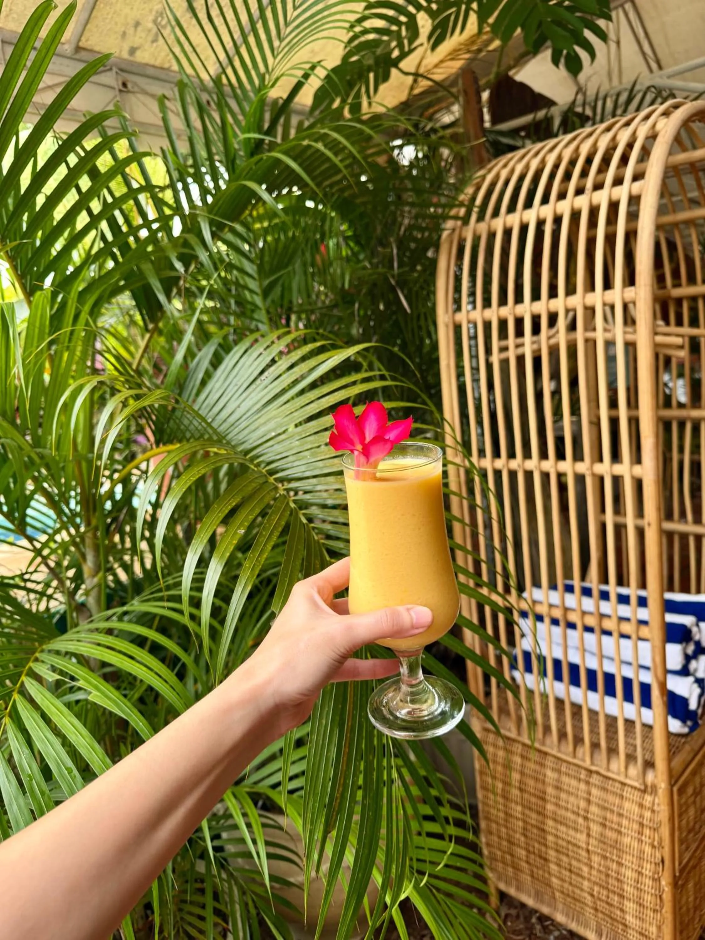 Deep Forest Garden Hotel