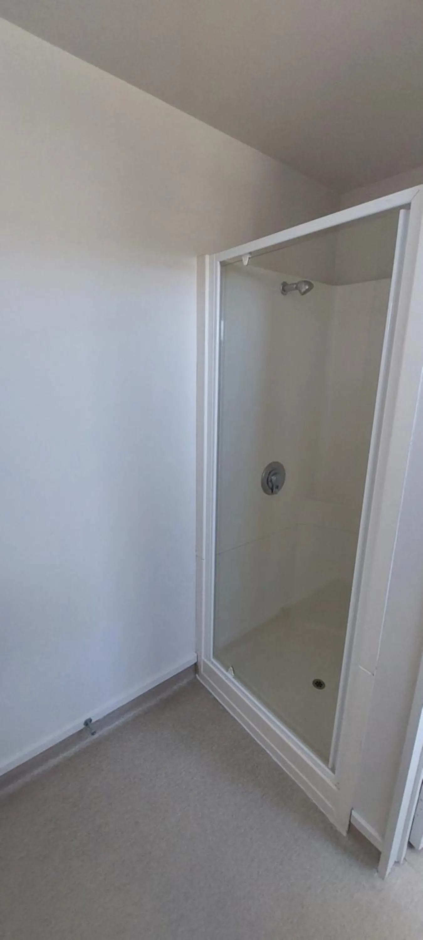 Shower in Fitzherbert Court Motel