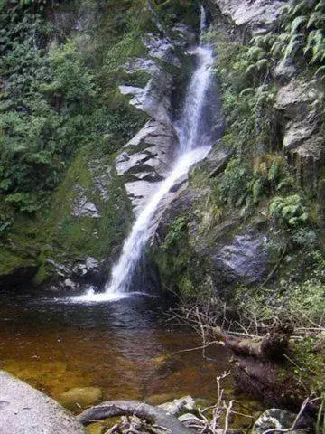 Day in Fitzherbert Court Motel Day in Fitzherbert Court Motel