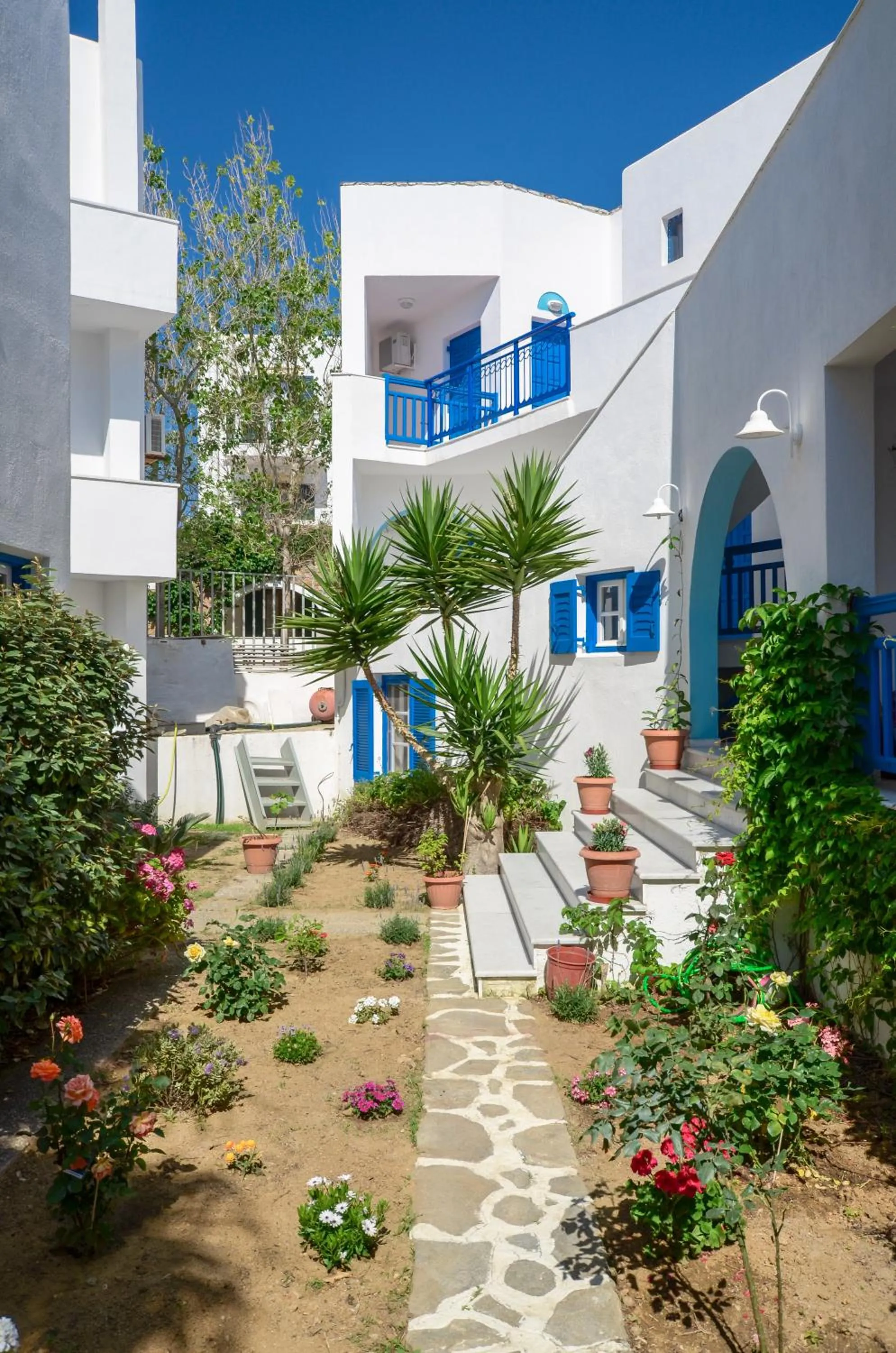 Garden in Sun Beach Hotel