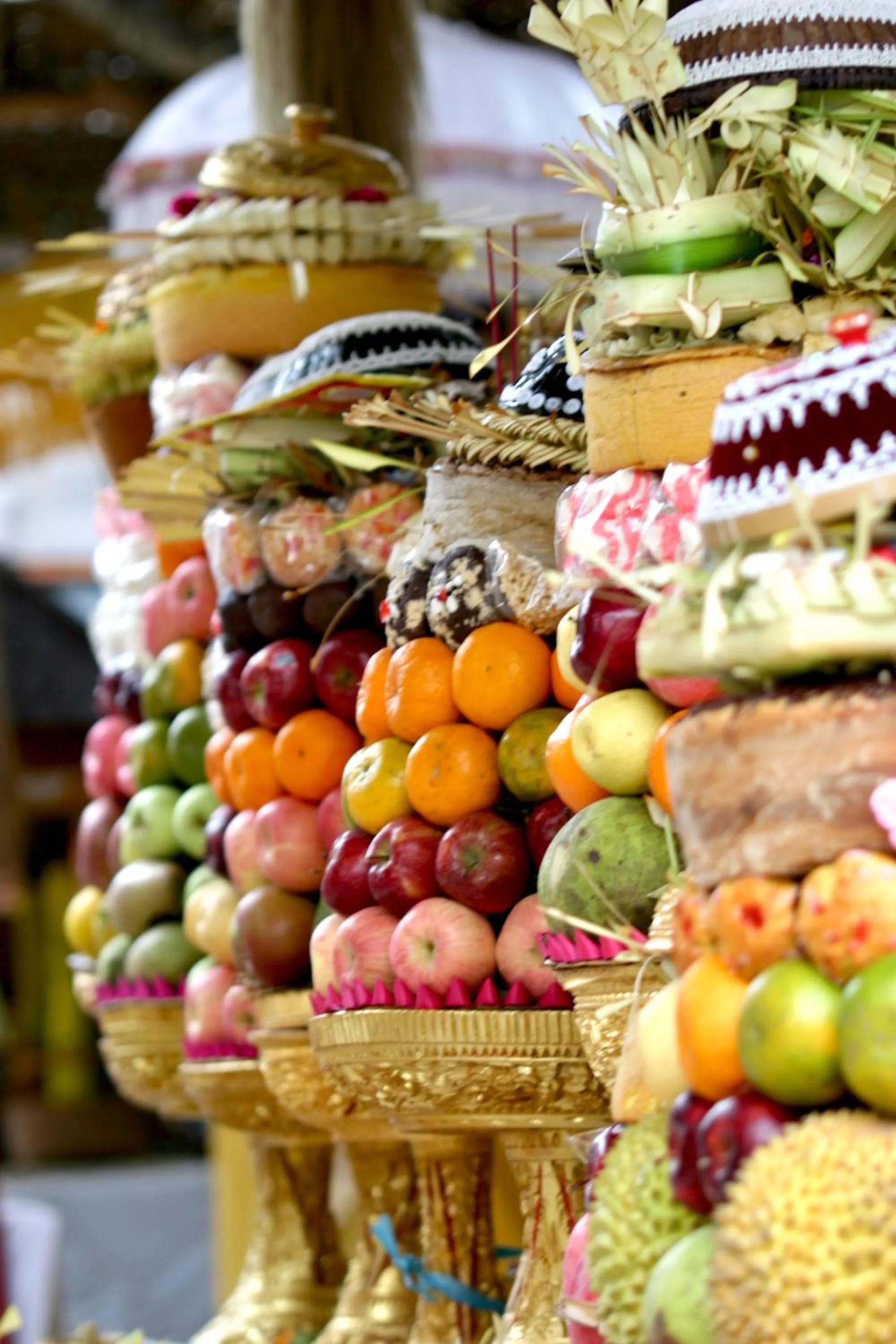 Area and facilities in The Manipura Luxury Estate and Spa Up to 18 person, fully serviced