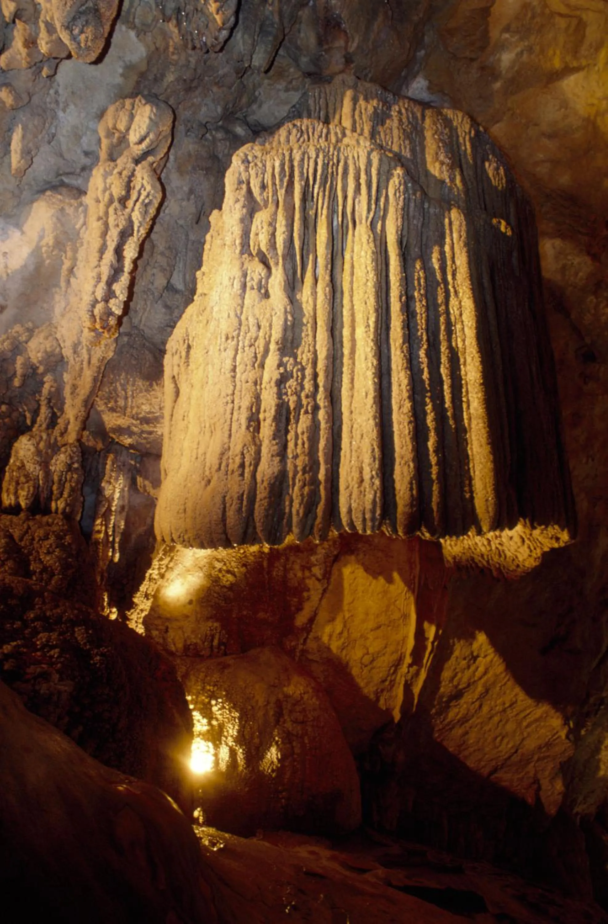 Nearby landmark in Contact Hôtel ALYS Bourg en Bresse Ekinox Parc Expo