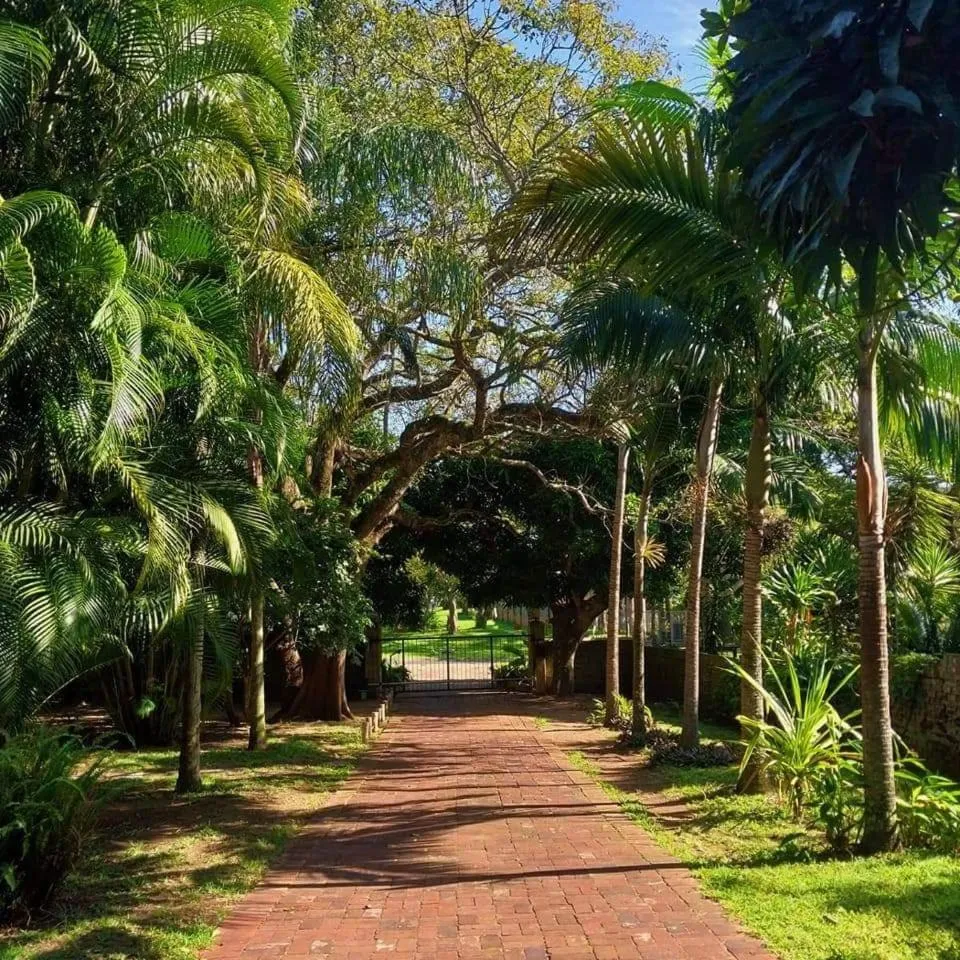Garden view in Parkers Cottages