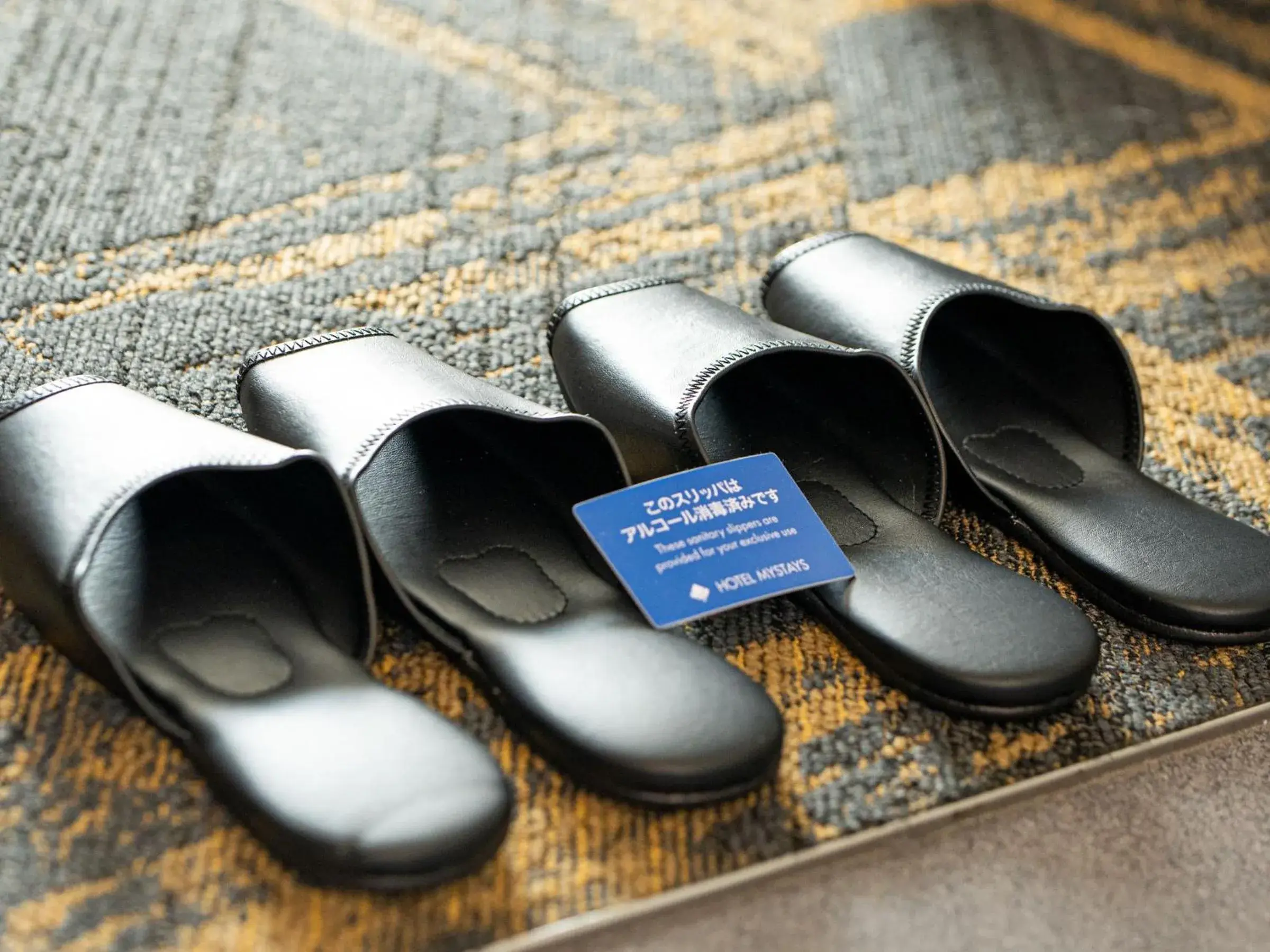 Area and facilities in HOTEL MYSTAYS Kanda Area and facilities in HOTEL MYSTAYS Kanda