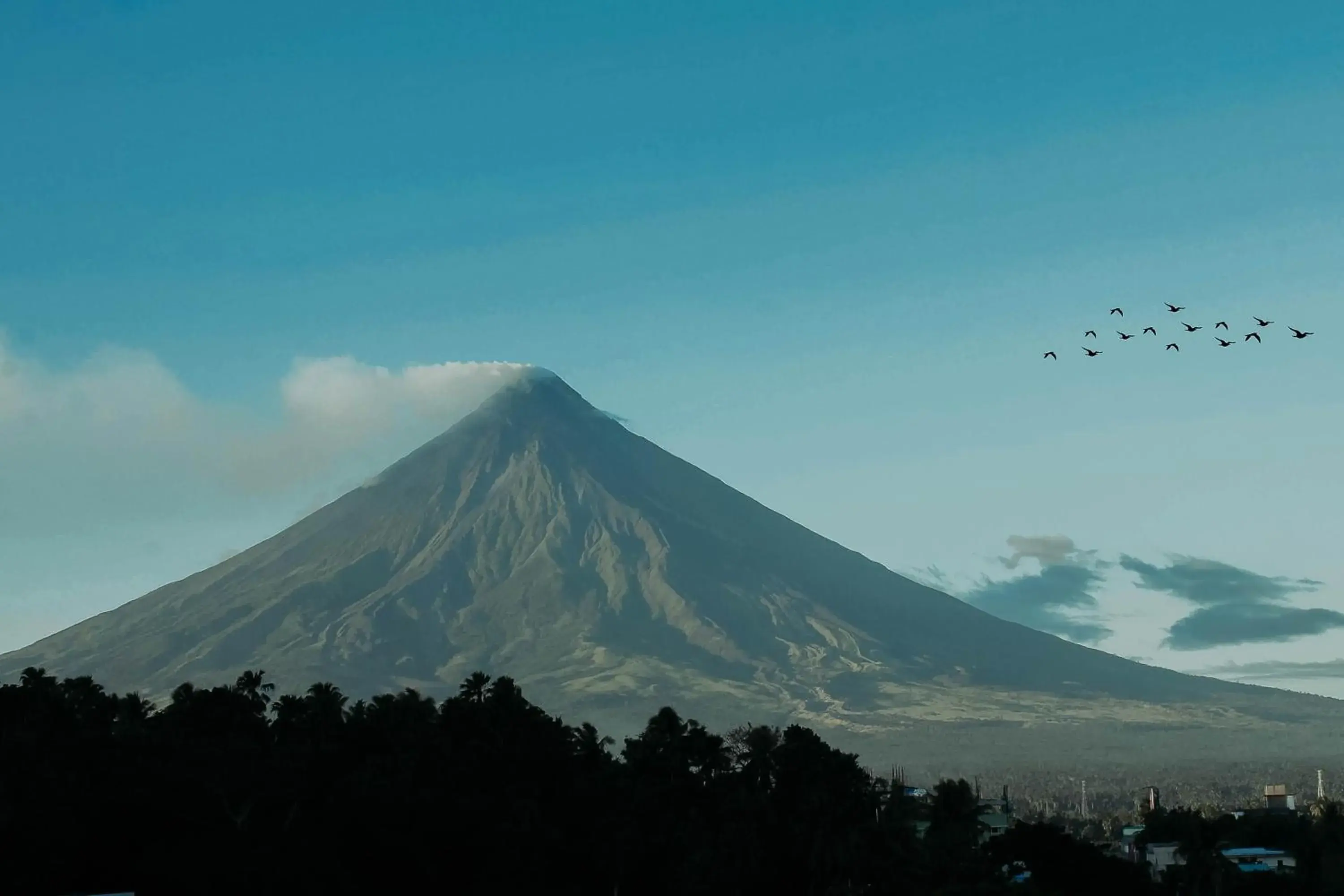 Fj Manila Hotel Fj Manila Hotel