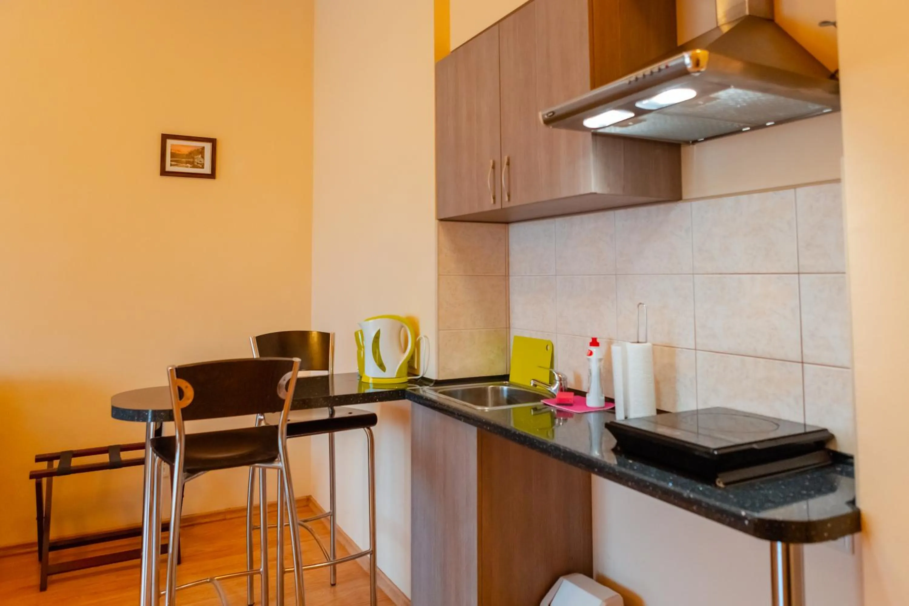 Kitchen or kitchenette in Apart Hotel Tomo FREE PARKING
