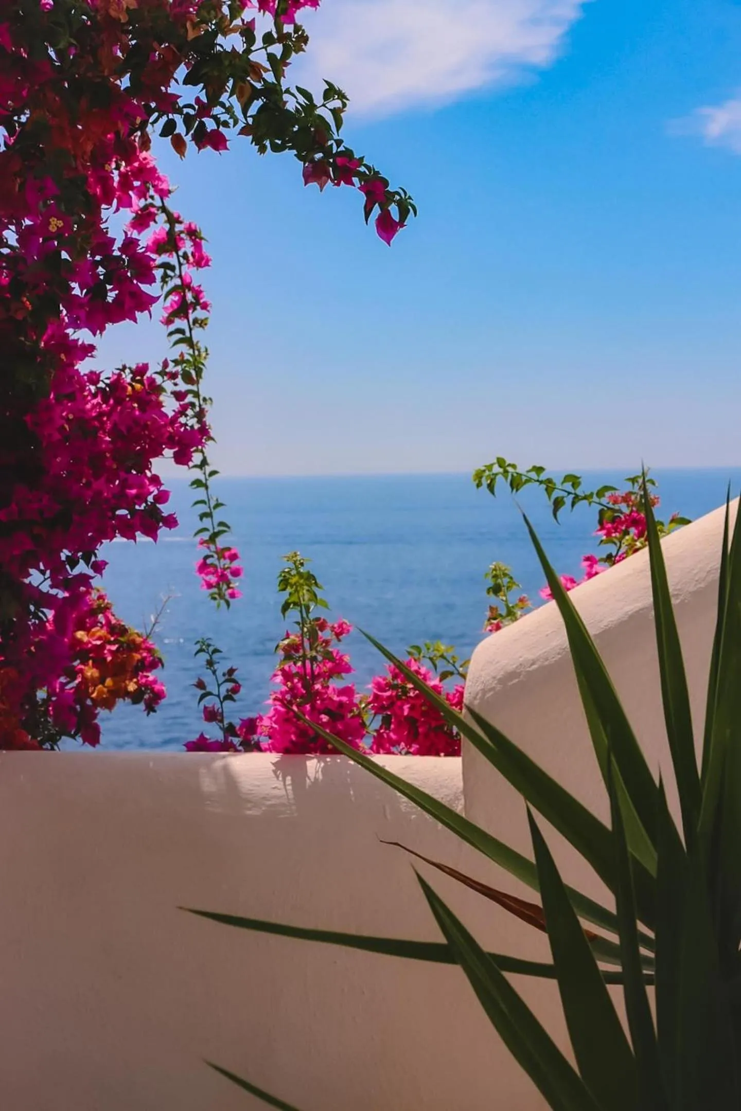 Natural landscape in Hotel Costa Diva