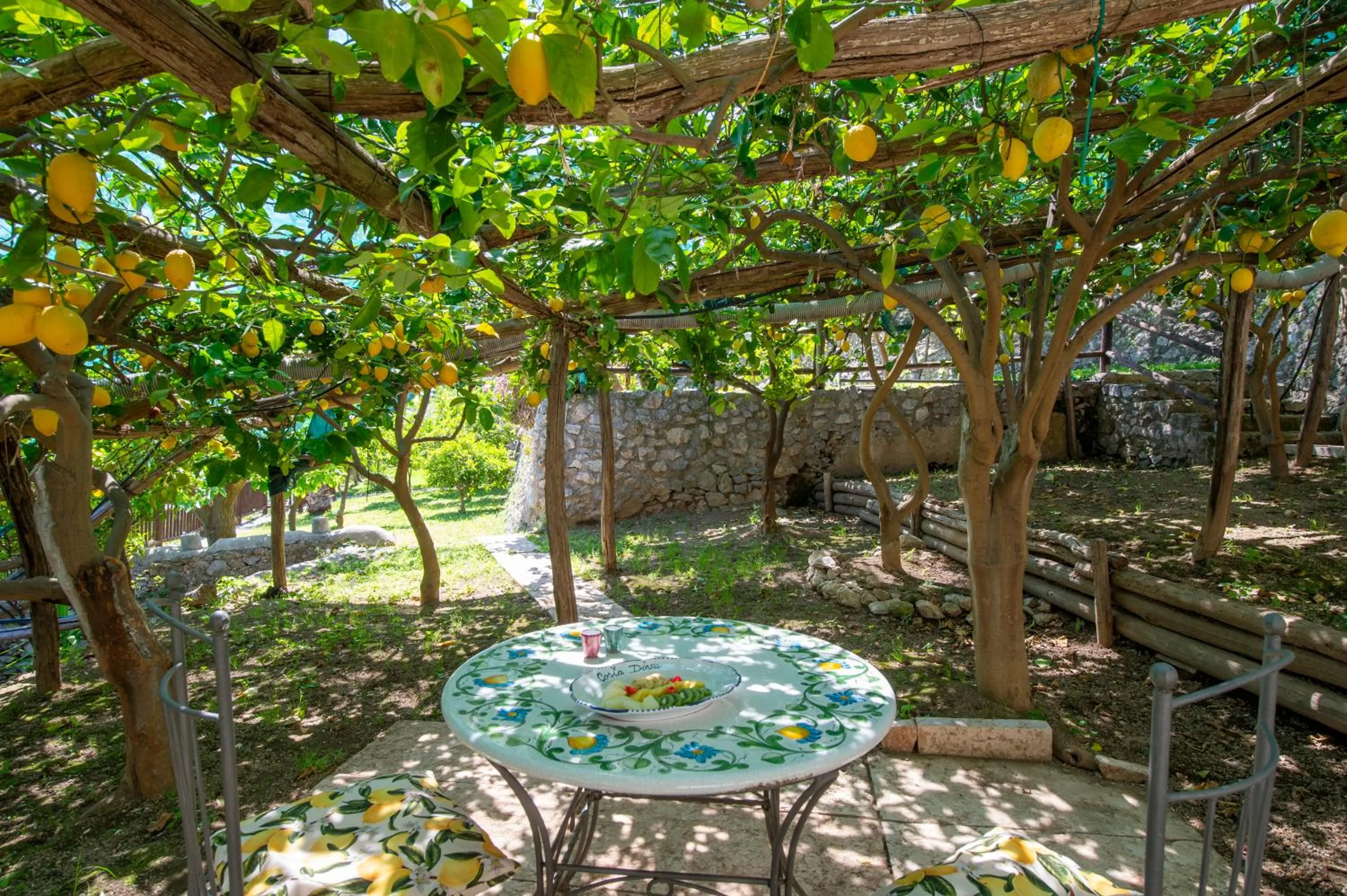 Garden in Hotel Costa Diva