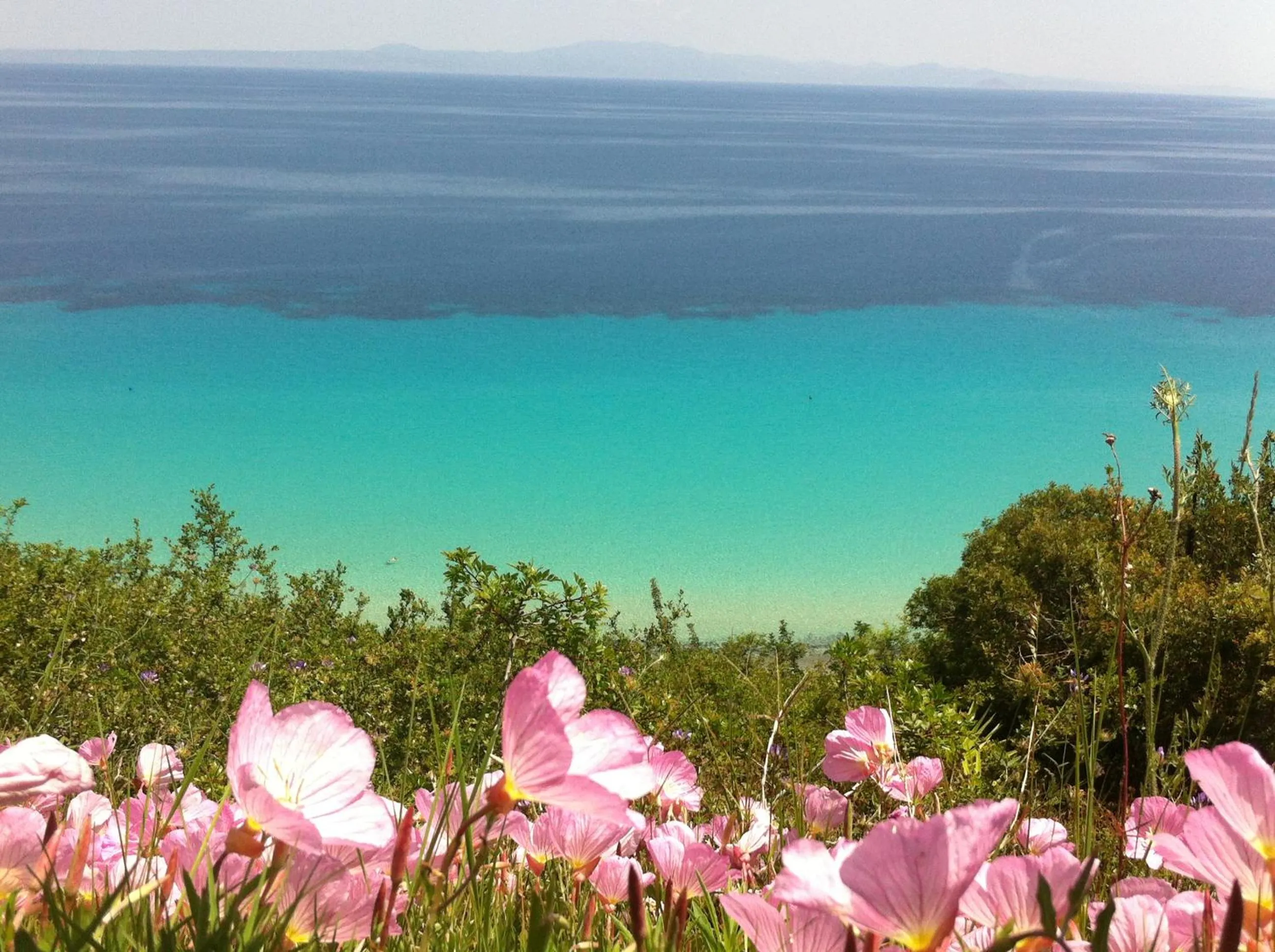 Sea view in Aegean Blue Studios