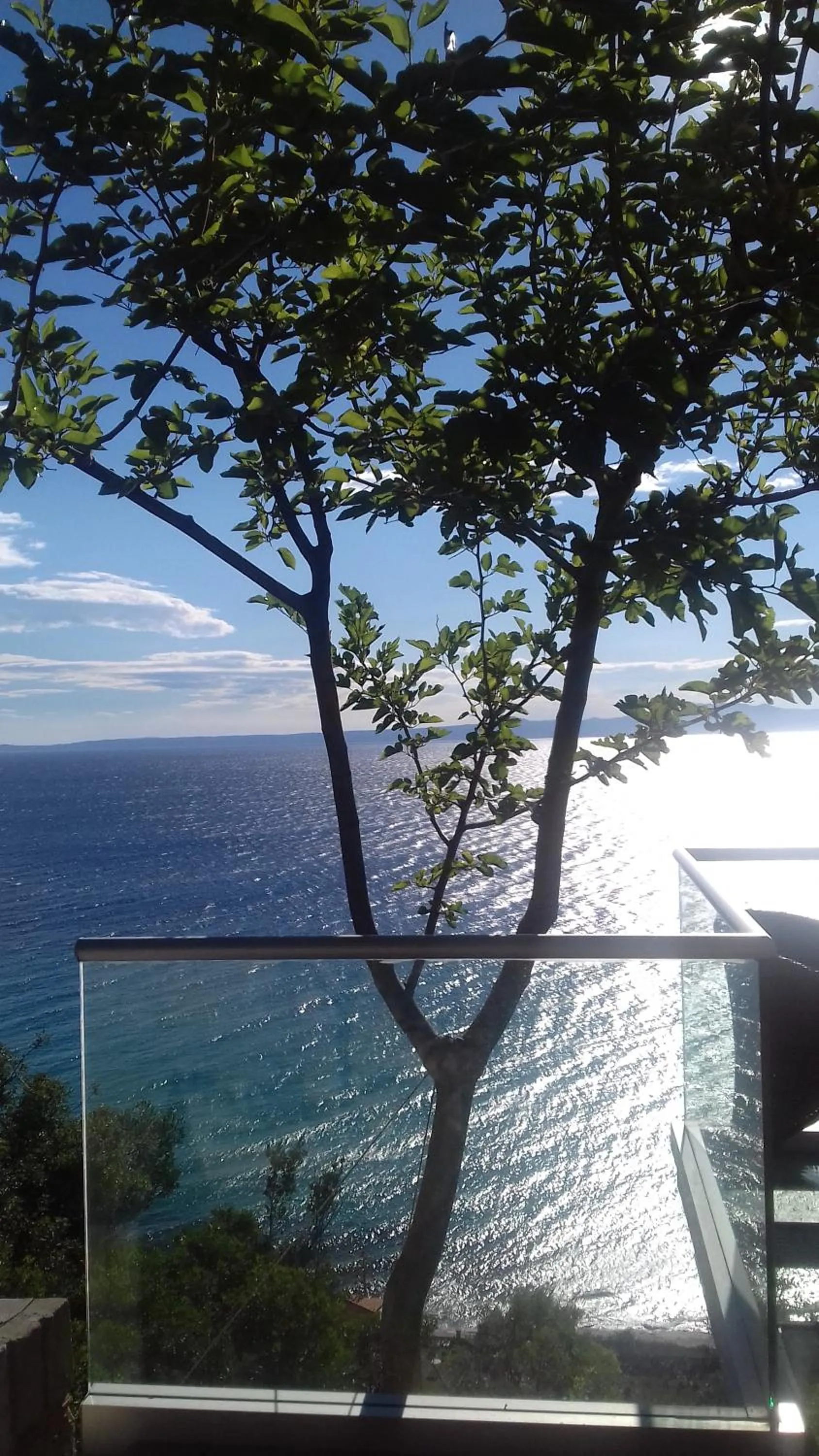 Lounge or bar in Aegean Blue Studios