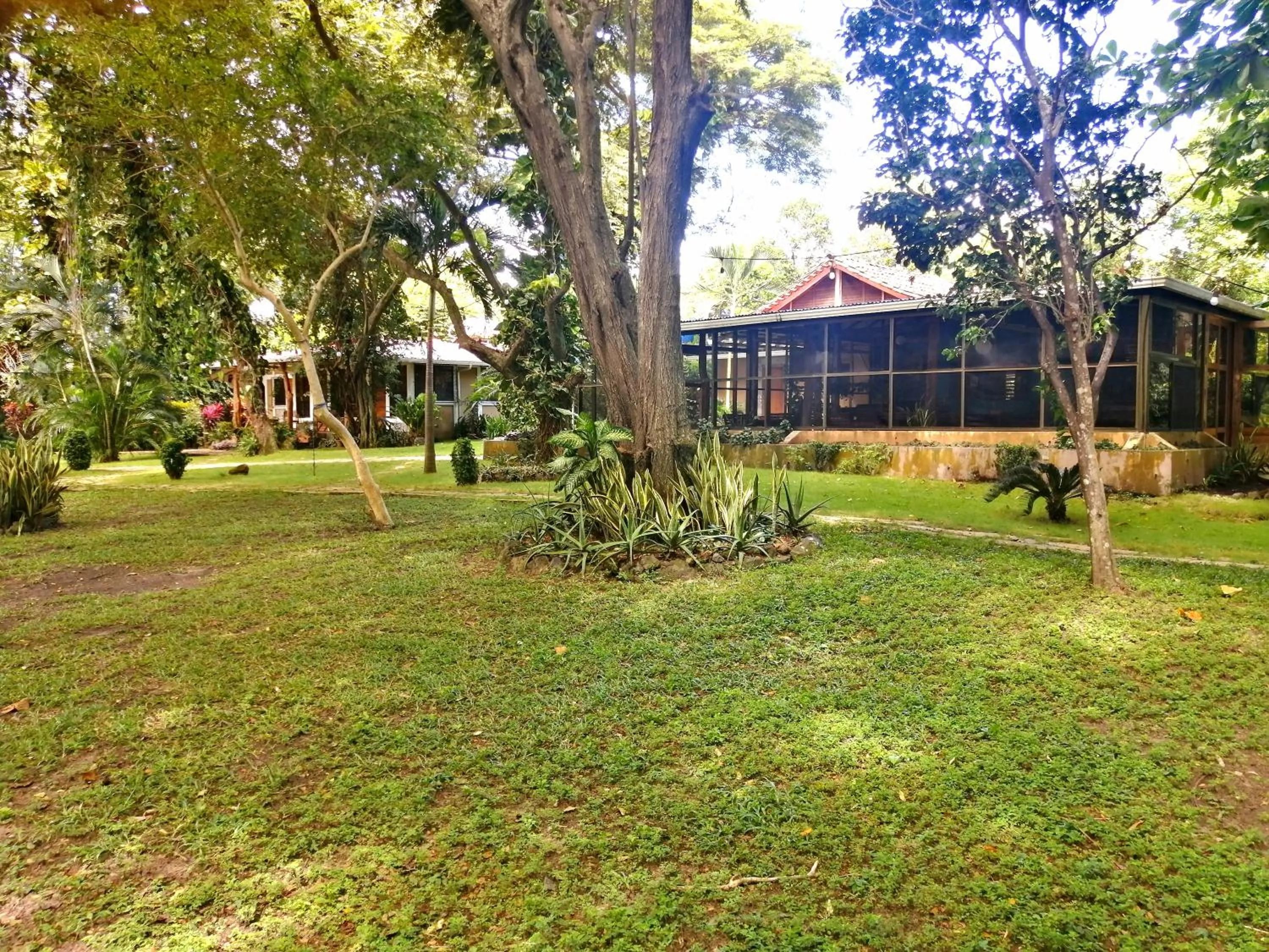 Restaurant/places to eat in Xalli Beach Hotel