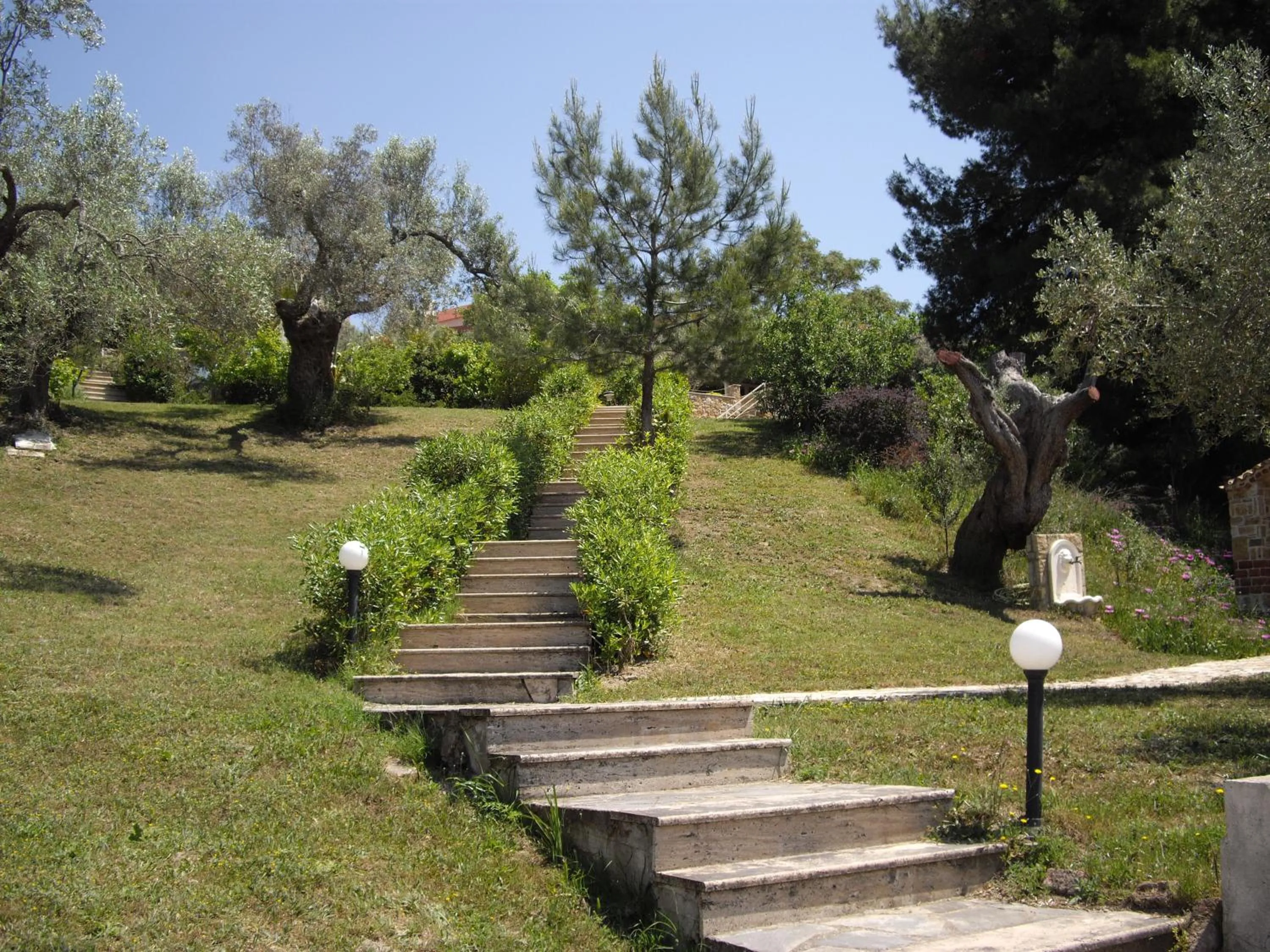 Garden in Sanidiamonds