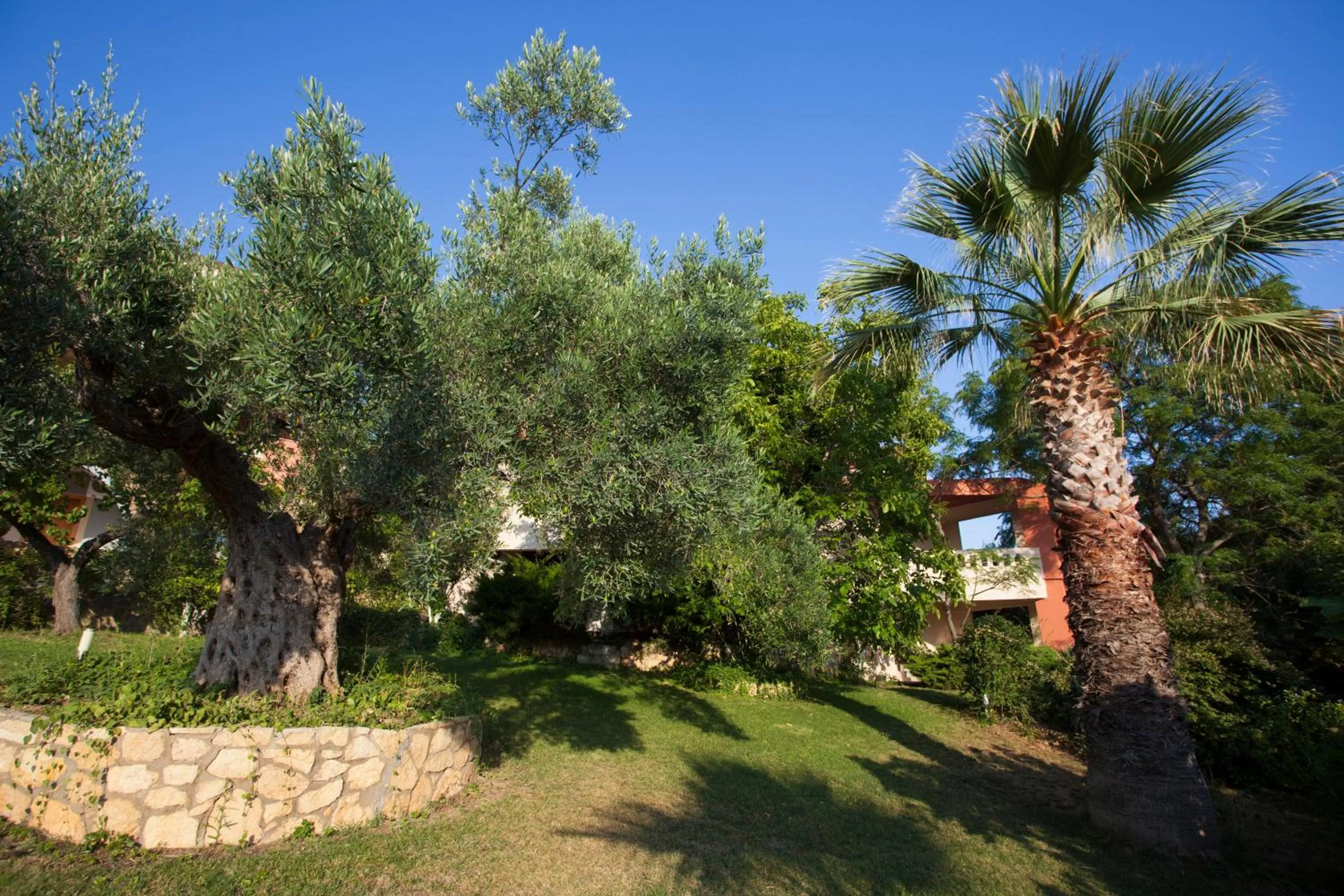 Garden in Sanidiamonds