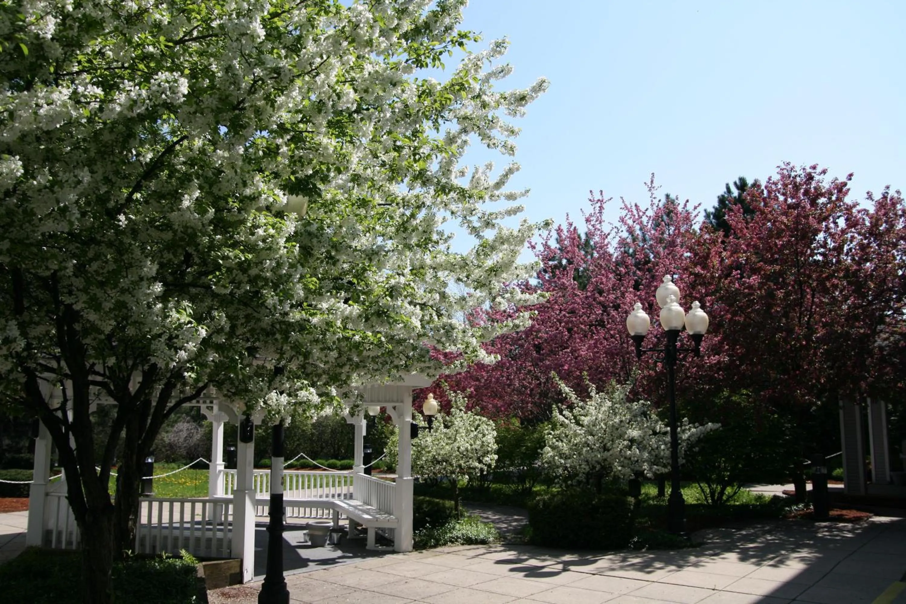 Property building in Hampton Inn Burlington - Colchester