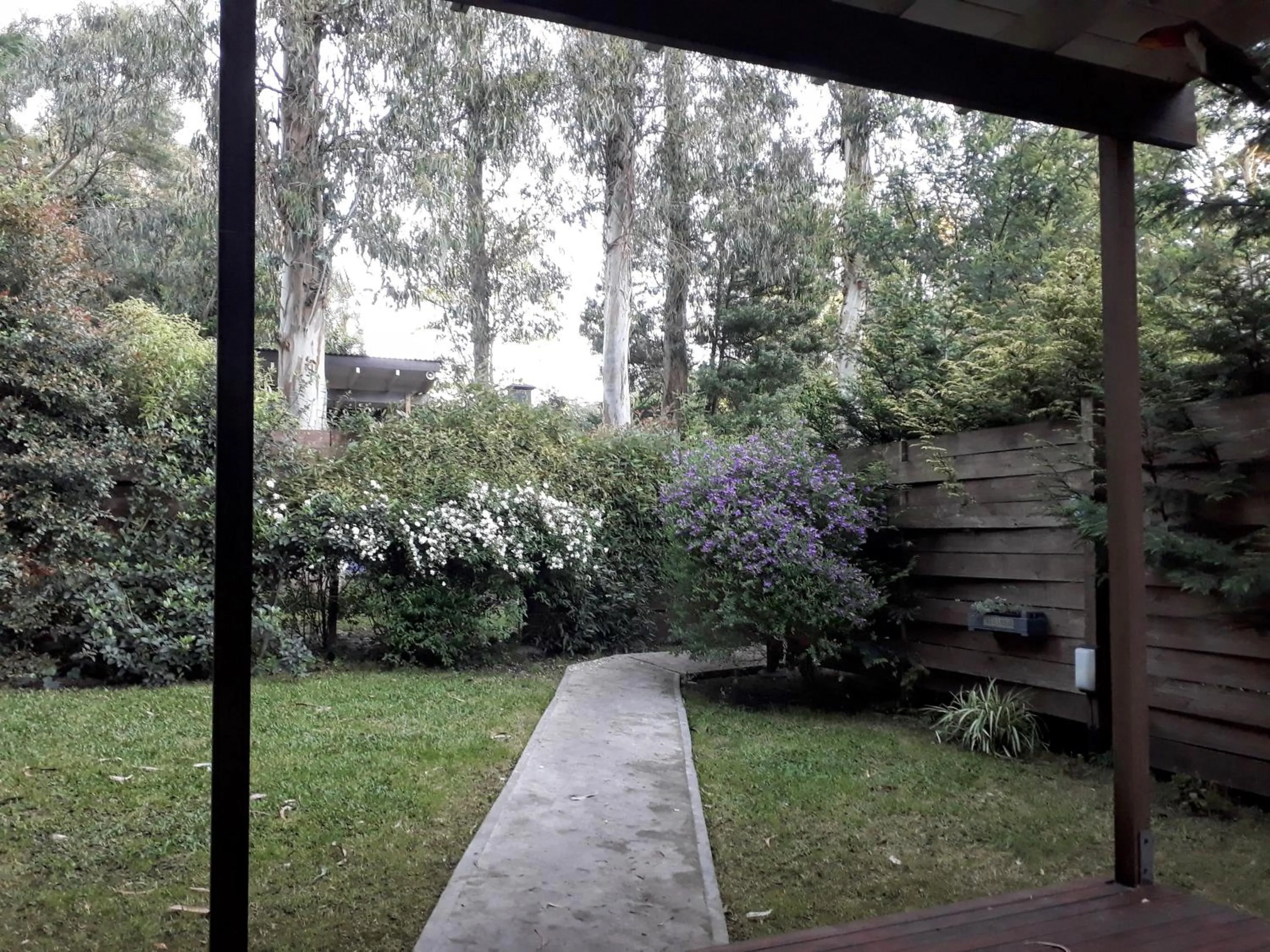 Garden view in Las Cortaderas Bosque Peralta Ramos