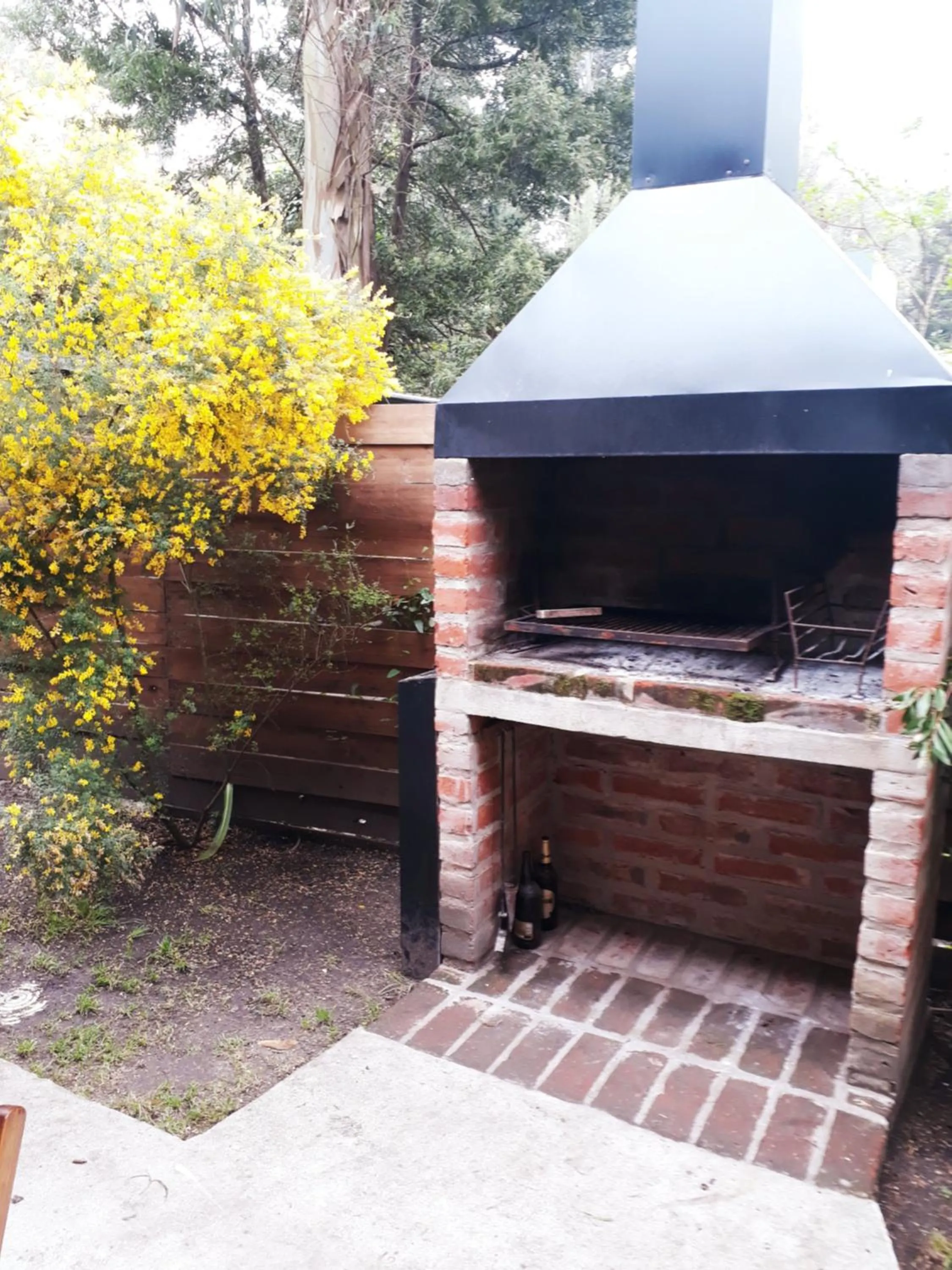 Las Cortaderas Bosque Peralta Ramos