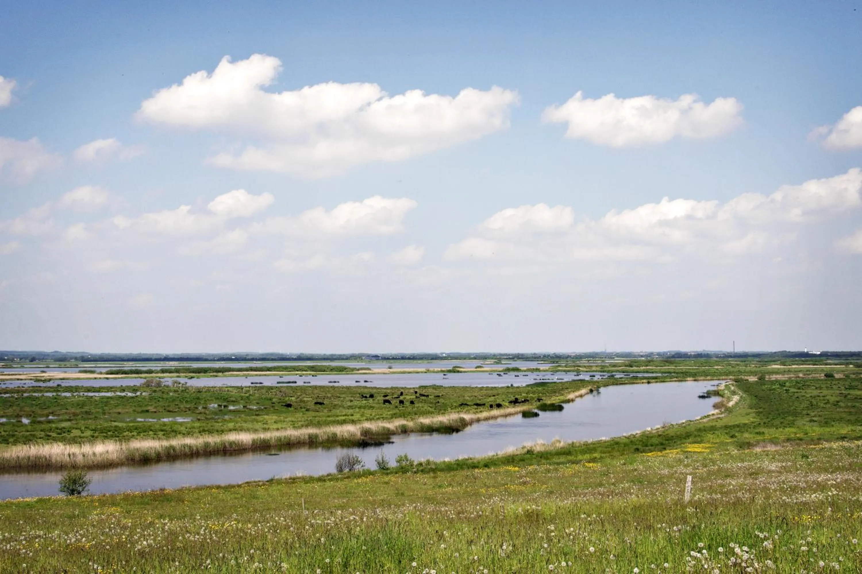 Off site in Hotel Skjern