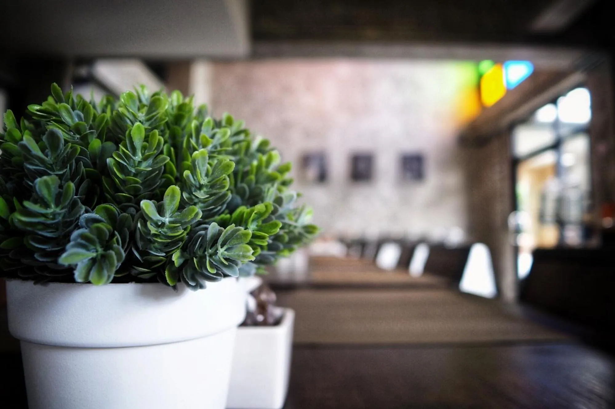 Living room in Na BaanYa Chiang Mai