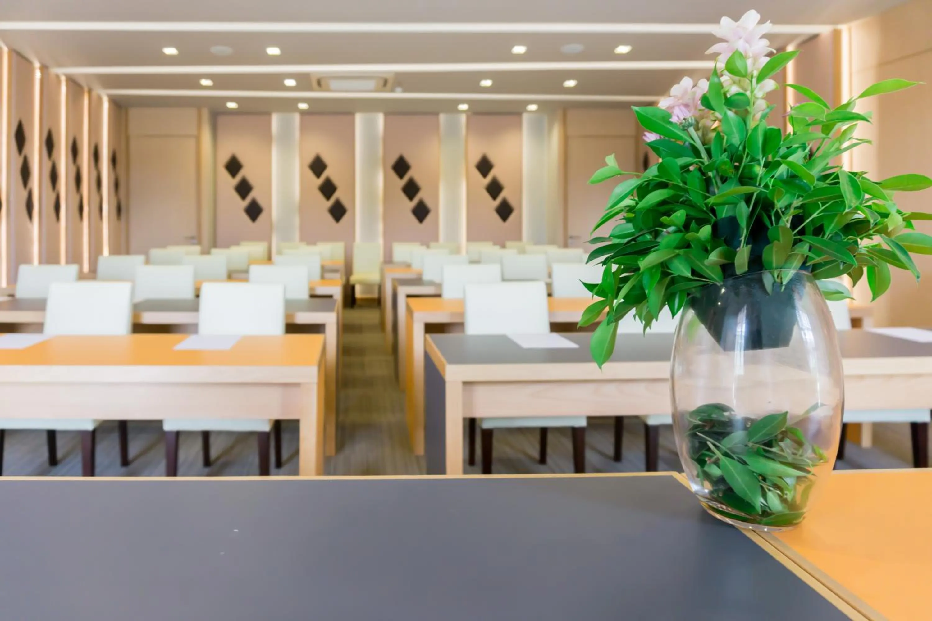 Meeting/conference room in Sorin hotel