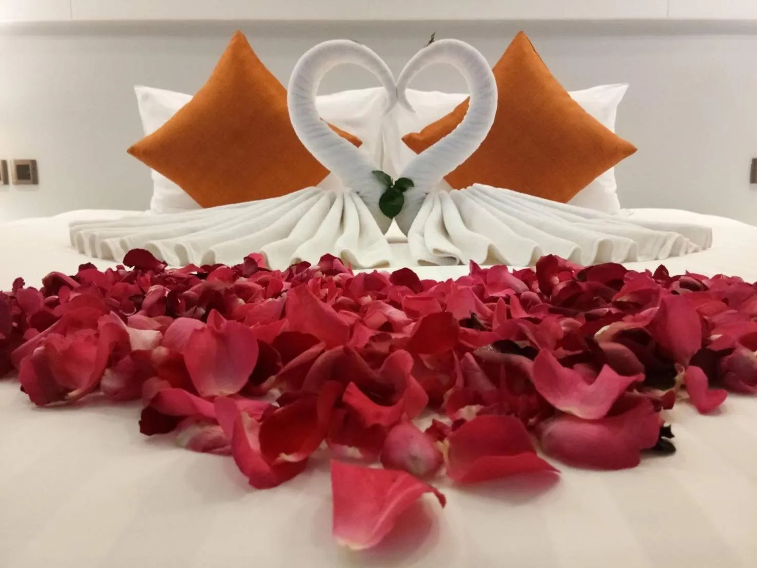 Photo of the whole room in Sorin hotel