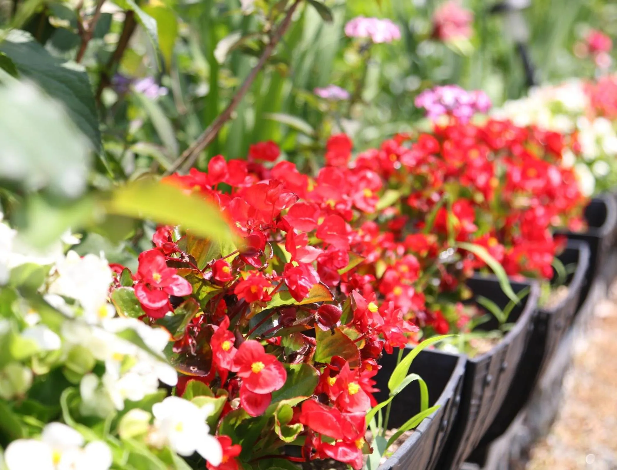 Decorative detail in Suimeiso