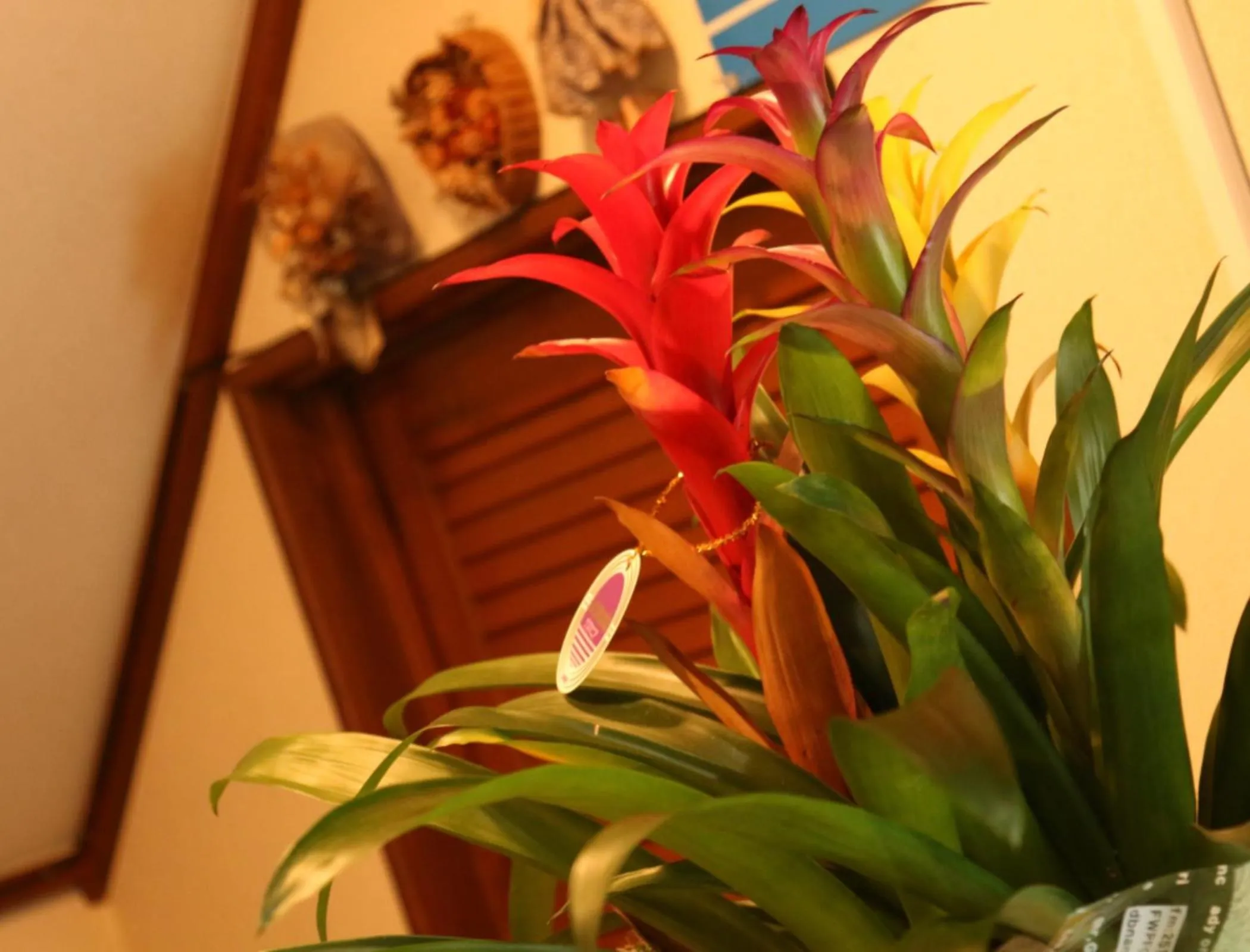 Communal lounge/ TV room in Suimeiso