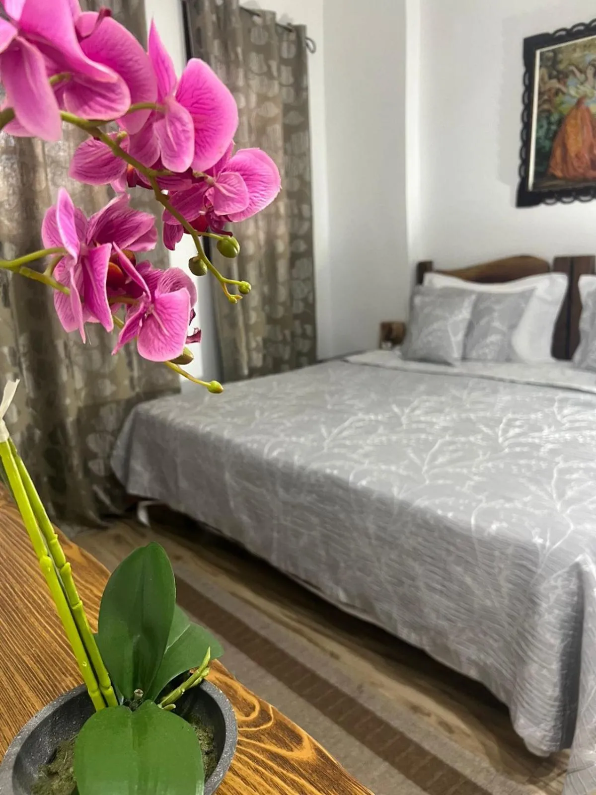 Hotel Omer