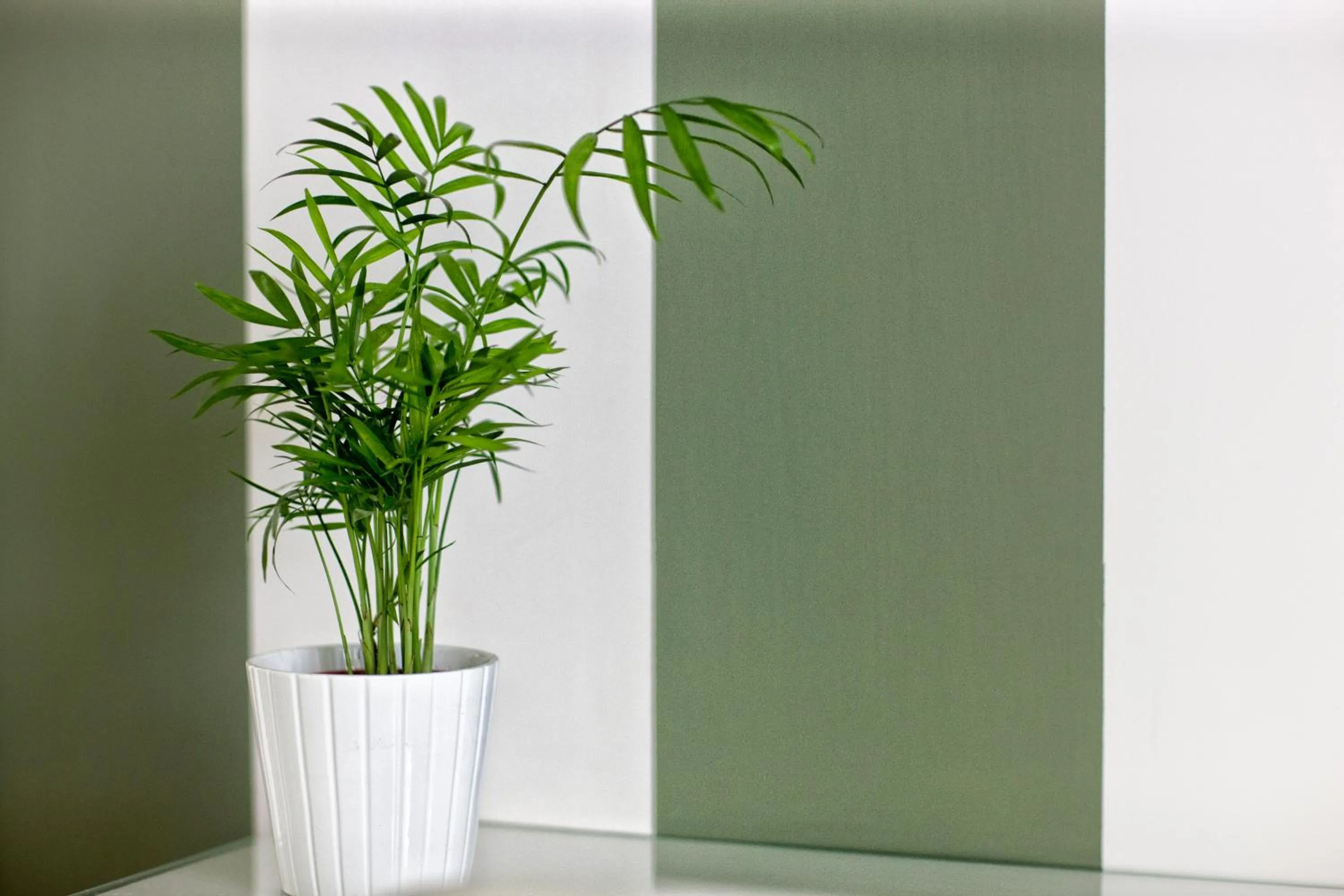 Decorative detail in B&B Kalavrìa