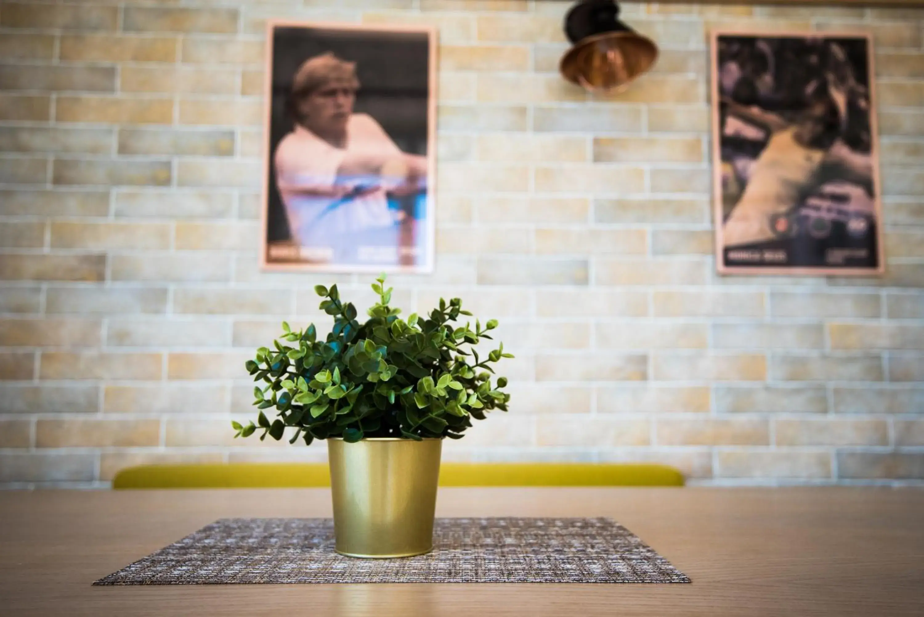 Twin Room - single occupancy in Court Inn Twin Room - single occupancy in Court Inn