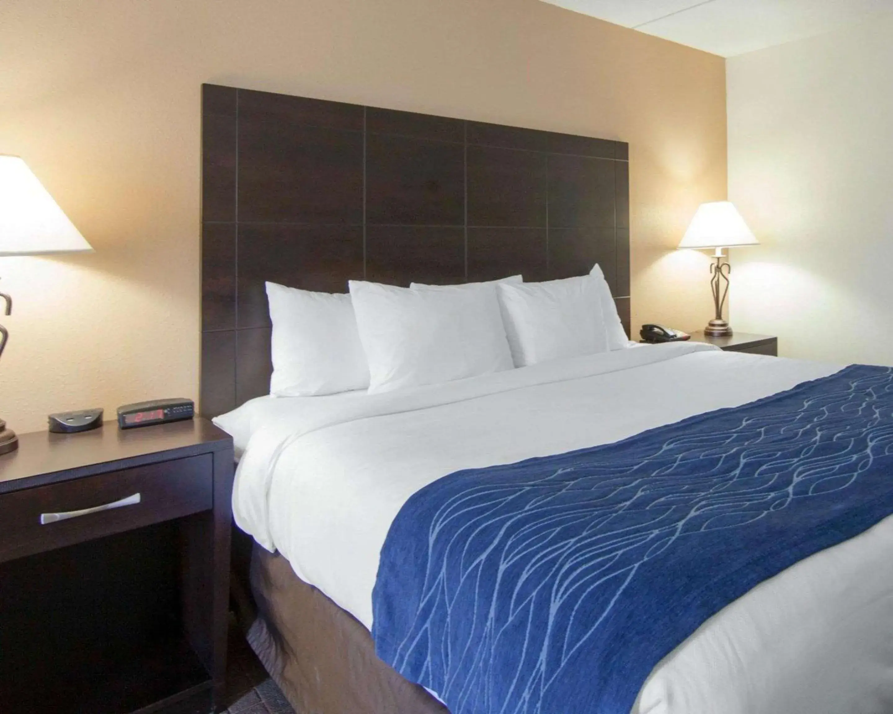 King Room - Disability Access/Non-Smoking in Comfort Inn Oak Ridge - Knoxville King Room - Disability Access/Non-Smoking in Comfort Inn Oak Ridge - Knoxville